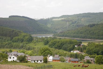 Maison nature à stavelot coo