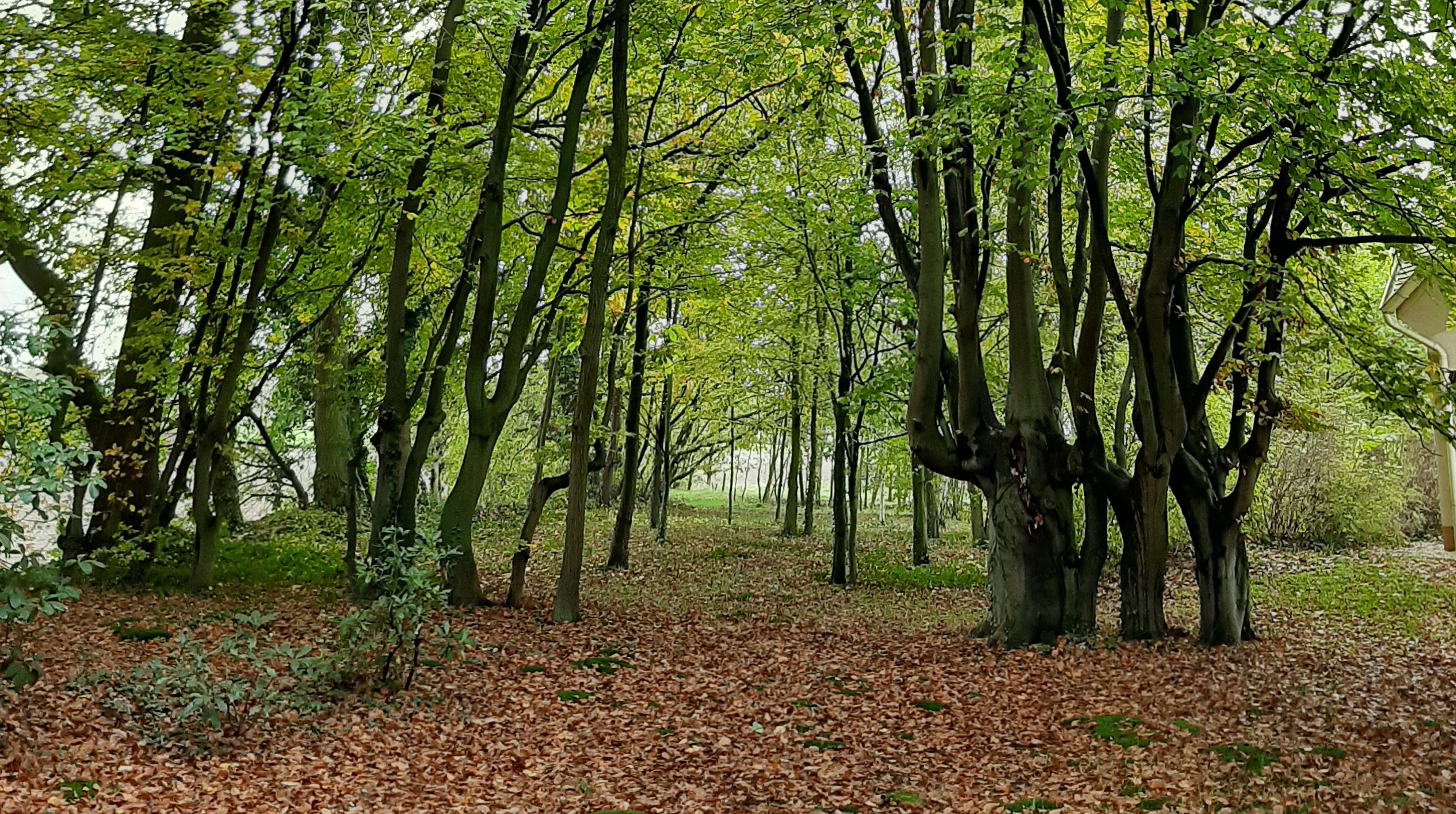 Maison nature à Kessel