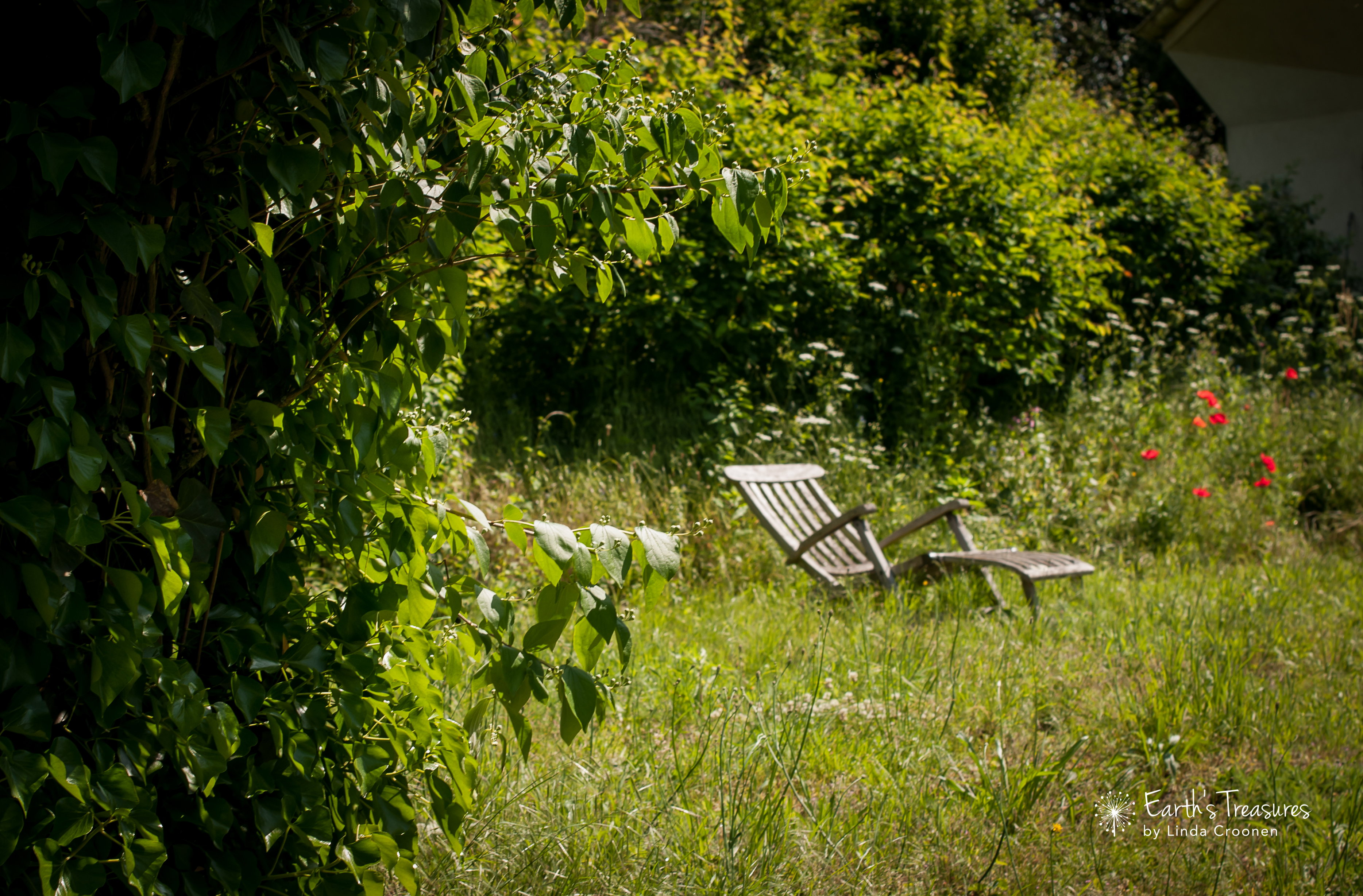 Maison nature à Kessel