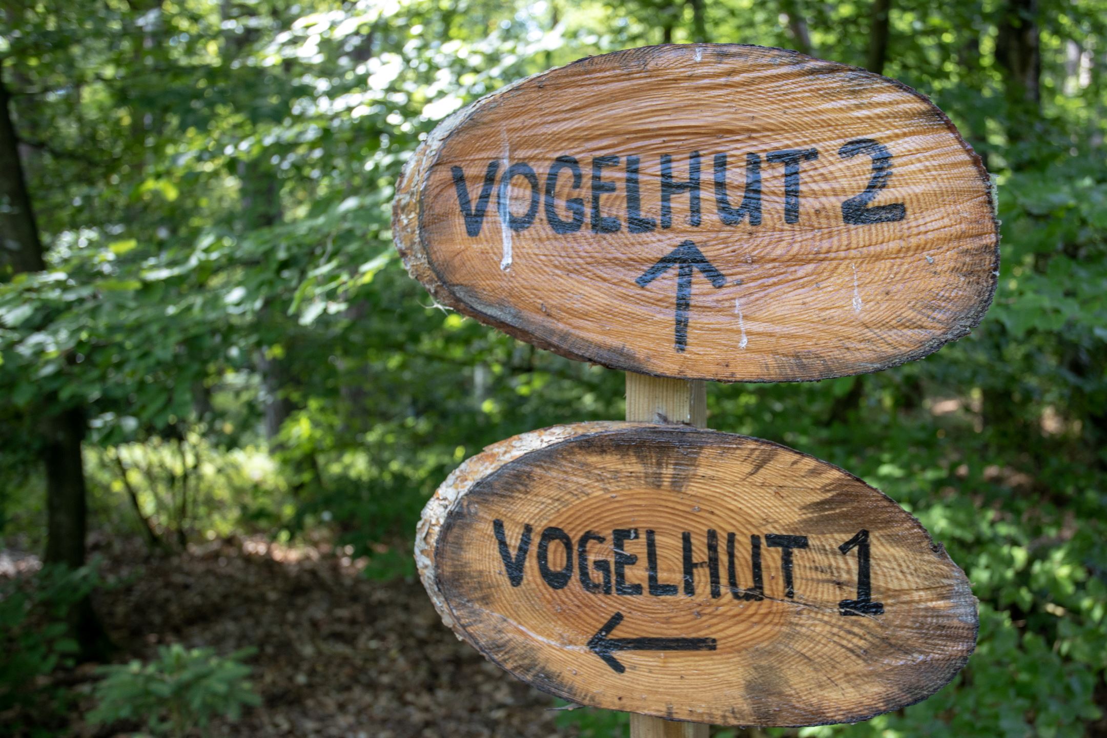 - image: 26