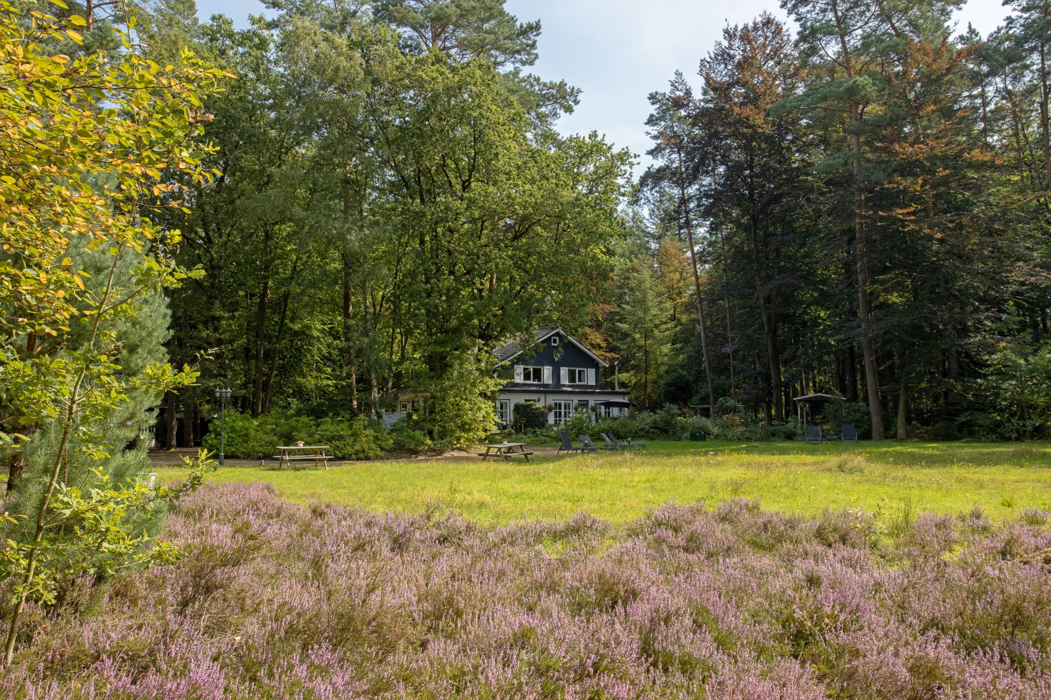 Casa nella natura a Vierhouten