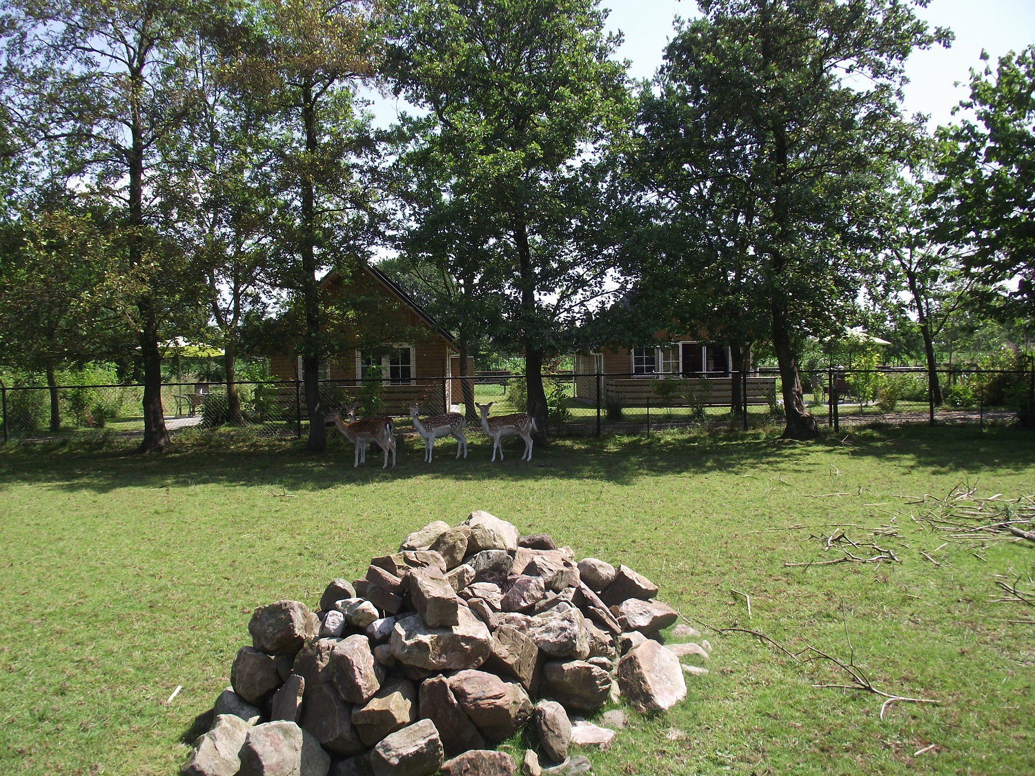 - image: 6