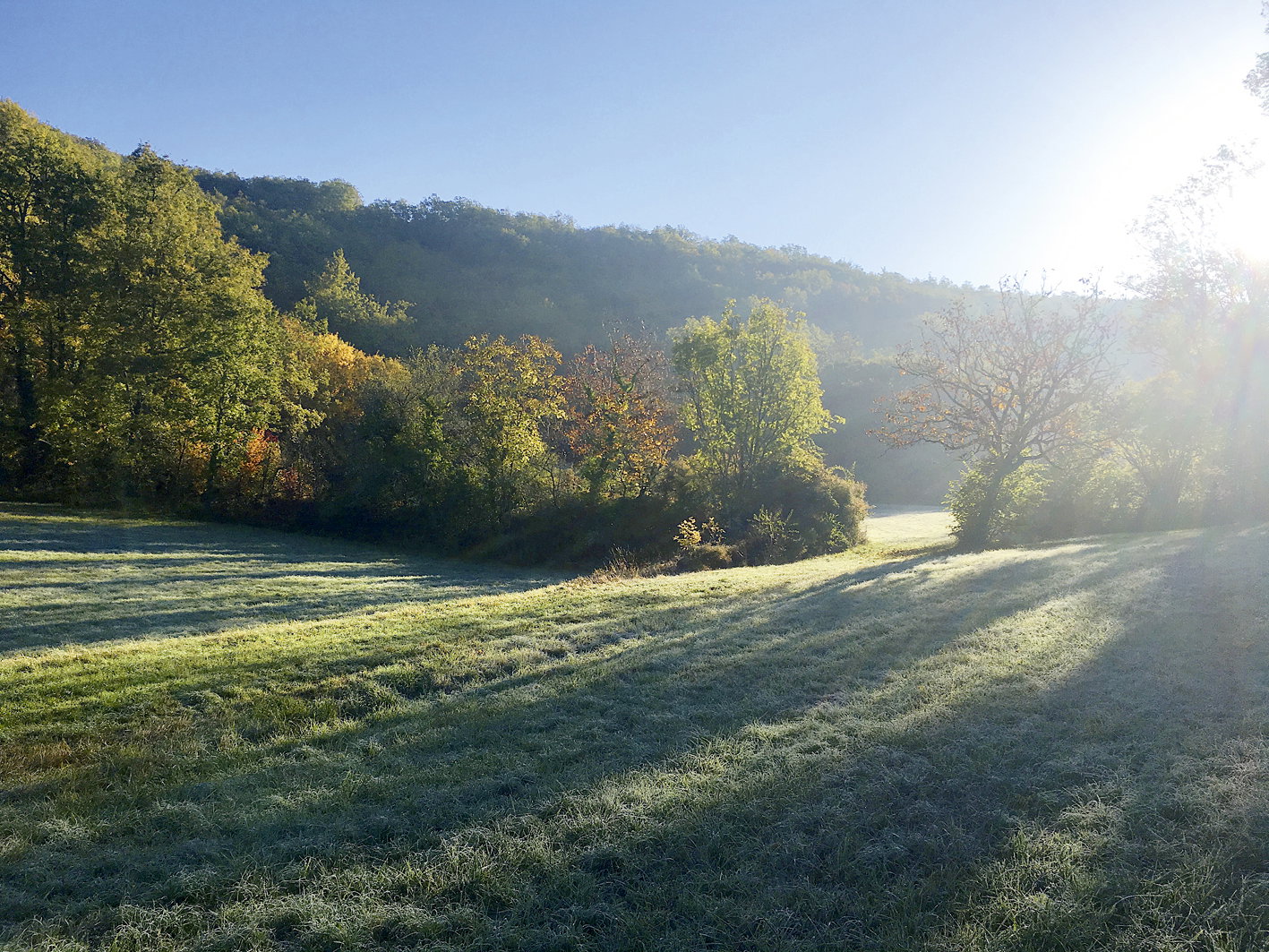 - image: 22