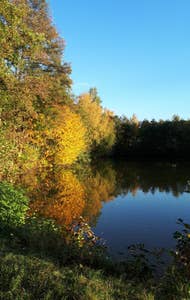 - image: 29