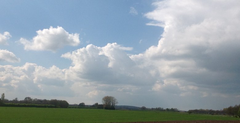 - image: 16