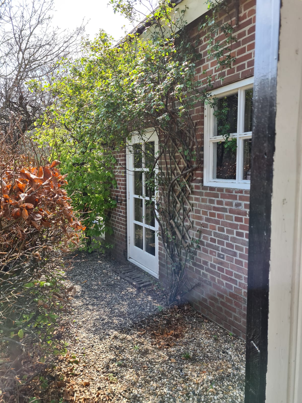 Maison nature à Geesteren