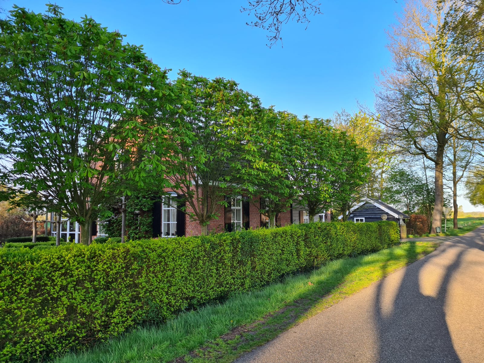 Maison nature à Geesteren