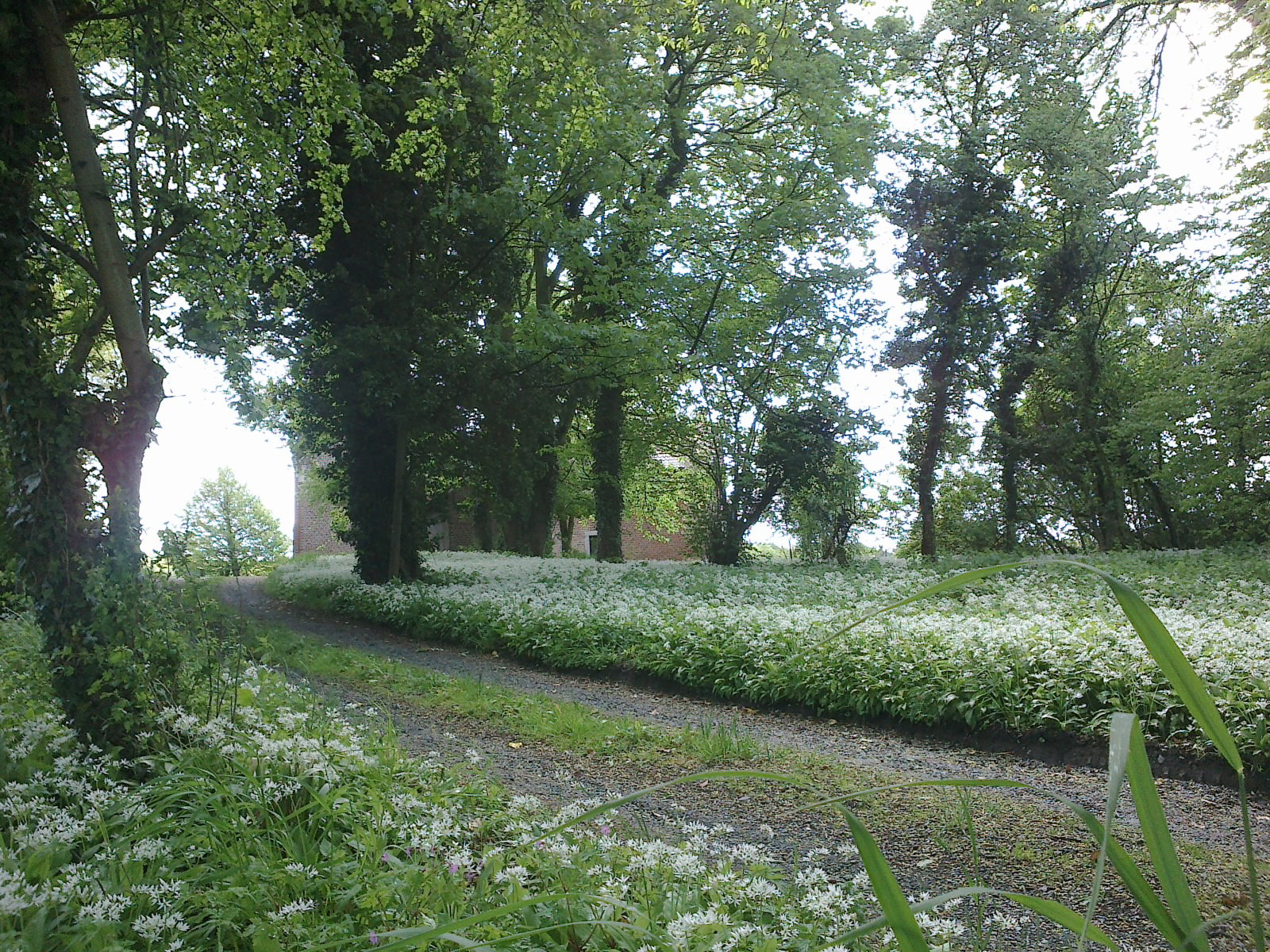 Naturhäuschen in Heikruis