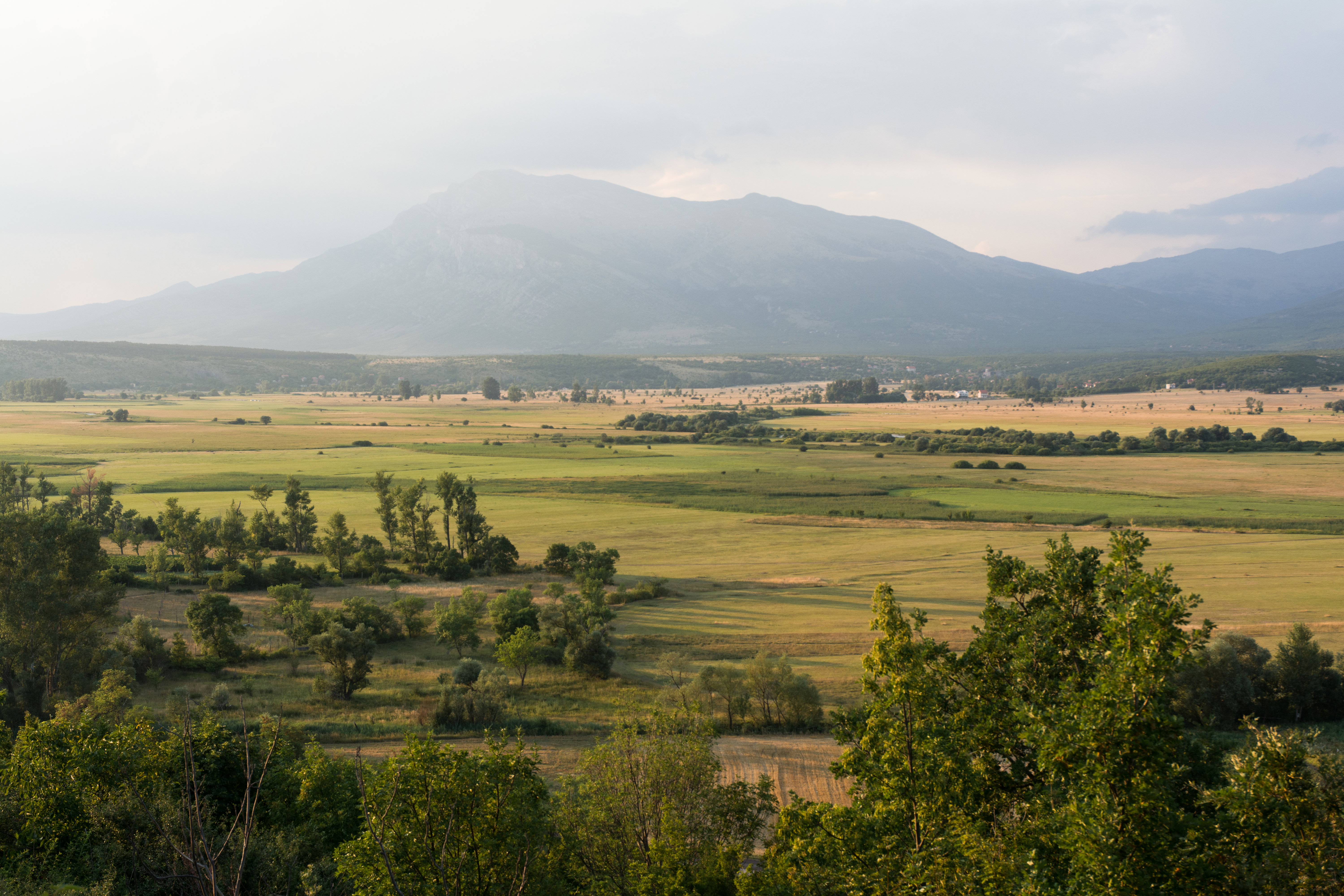 - image: 19