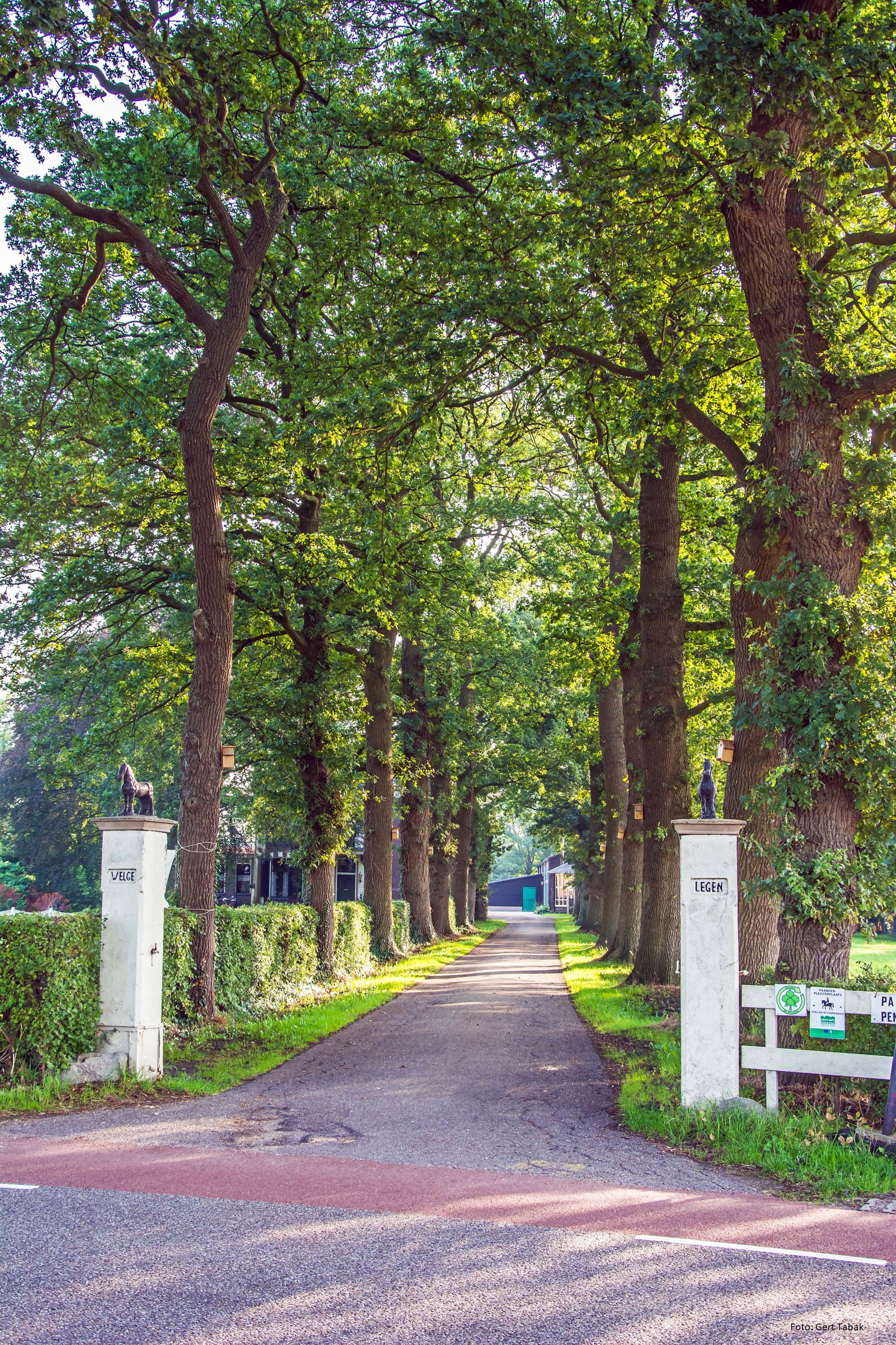 Natuurhuisje in Koekange