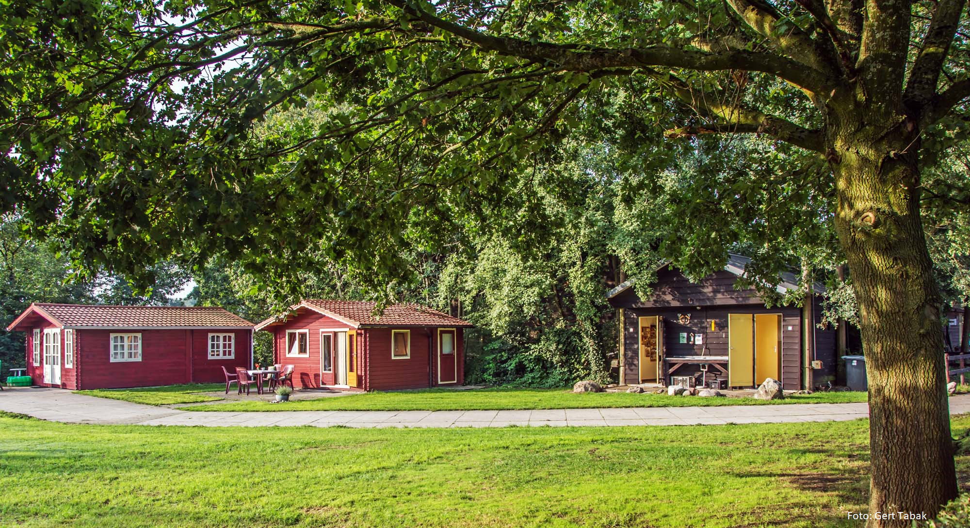 Natuurhuisje in Koekange
