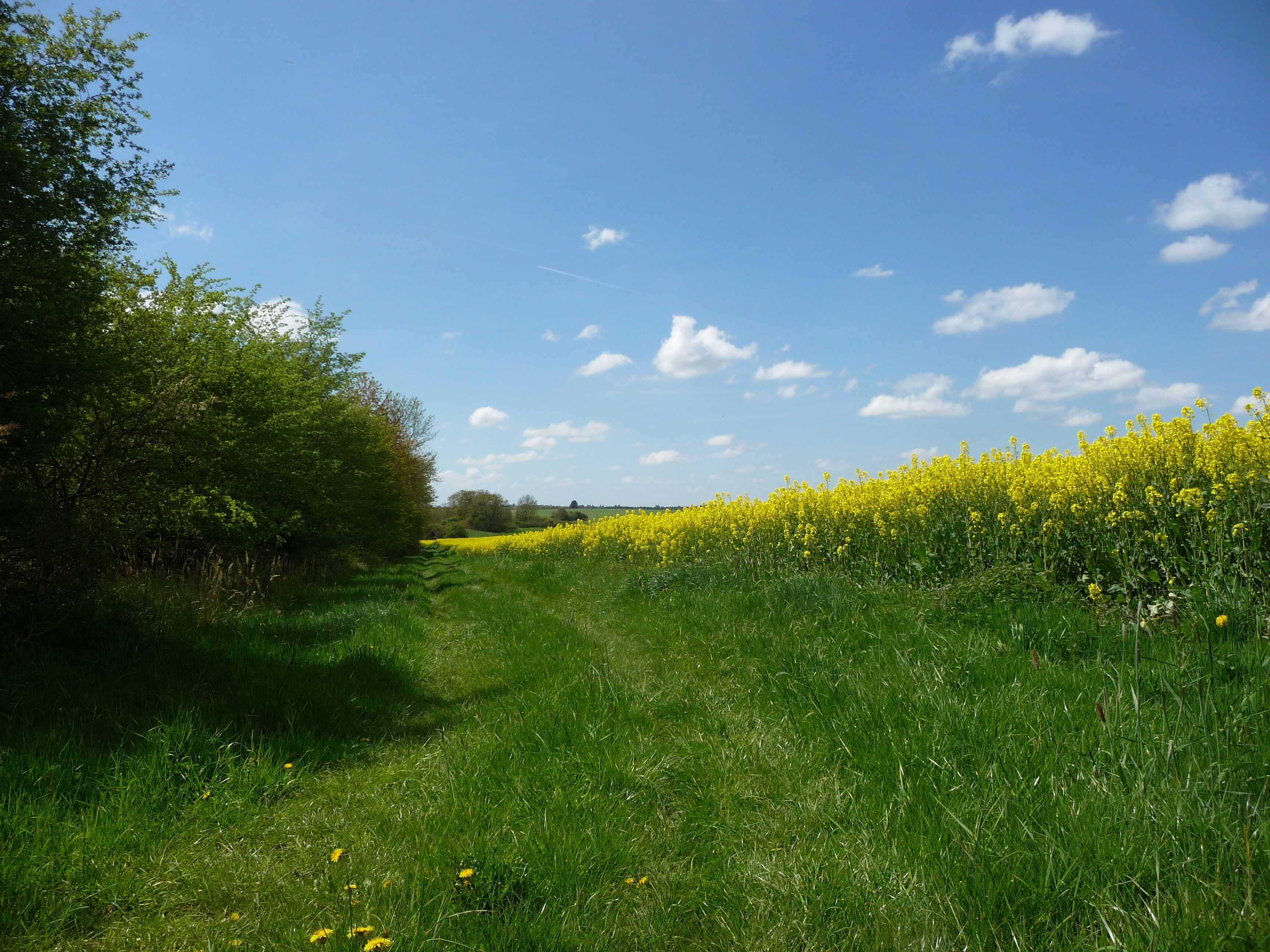 - image: 26