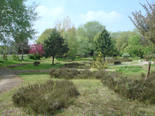 - image: 28