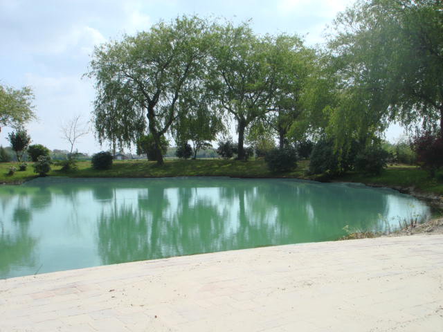 Maison nature à Westerwolde