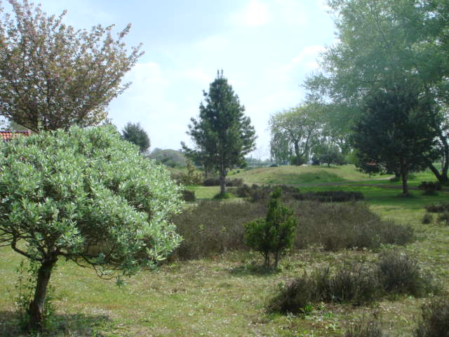 - image: 26