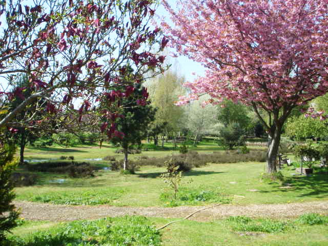 - image: 23