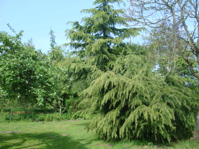 - image: 24