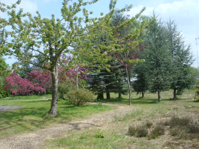 - image: 27