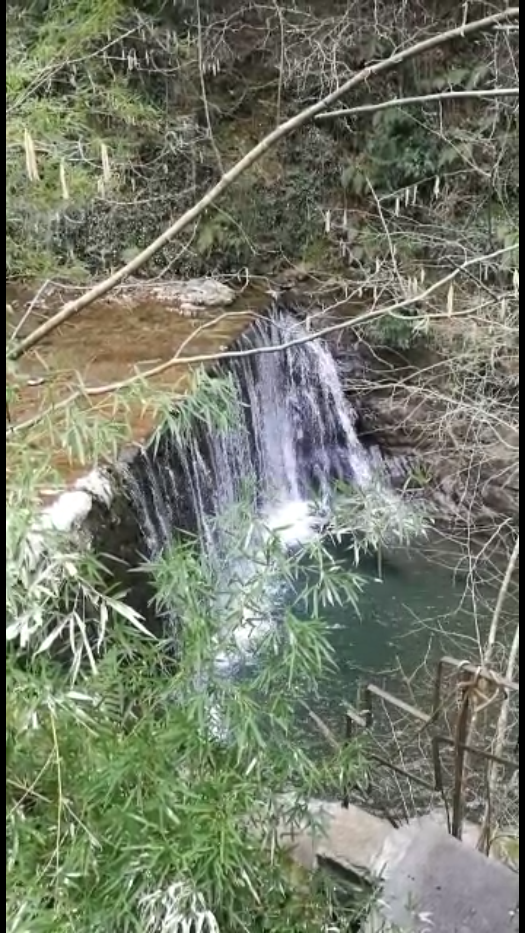 - image: 24