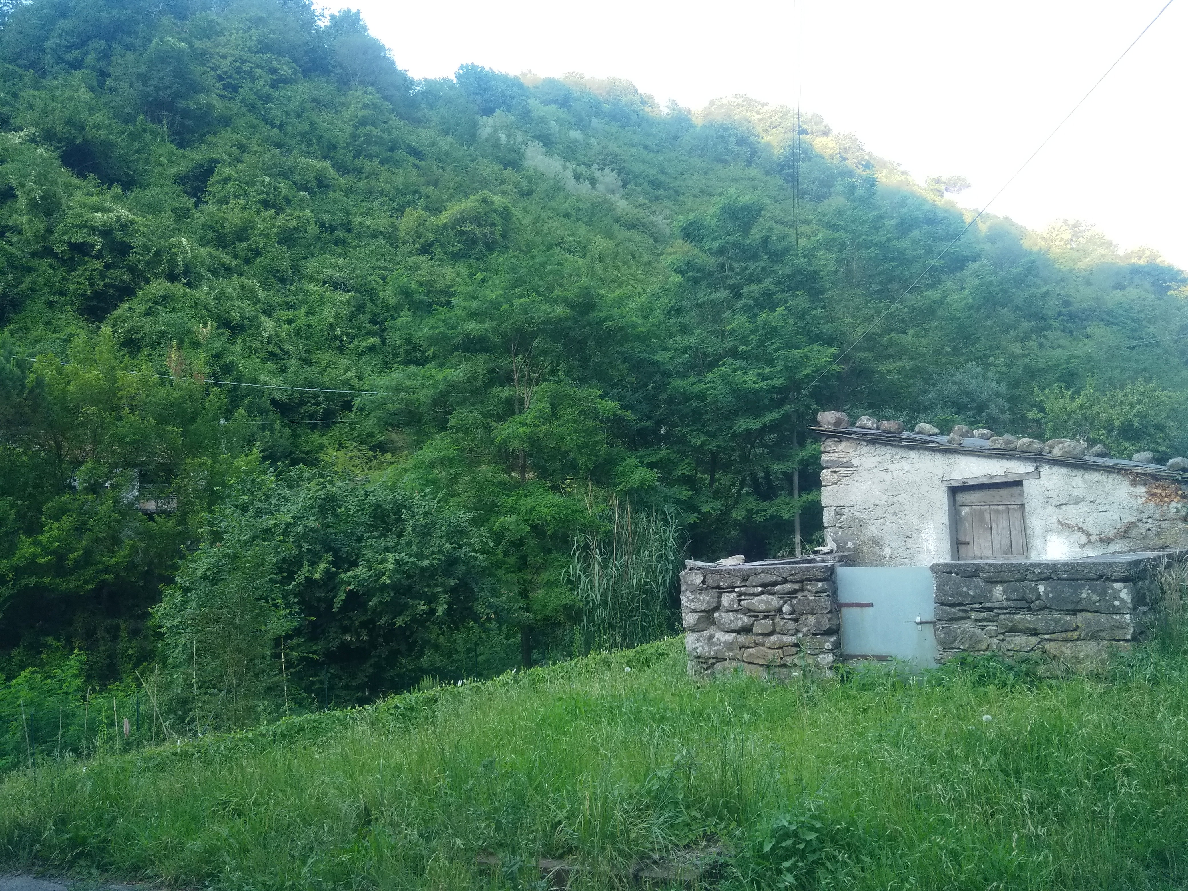 - image: 21