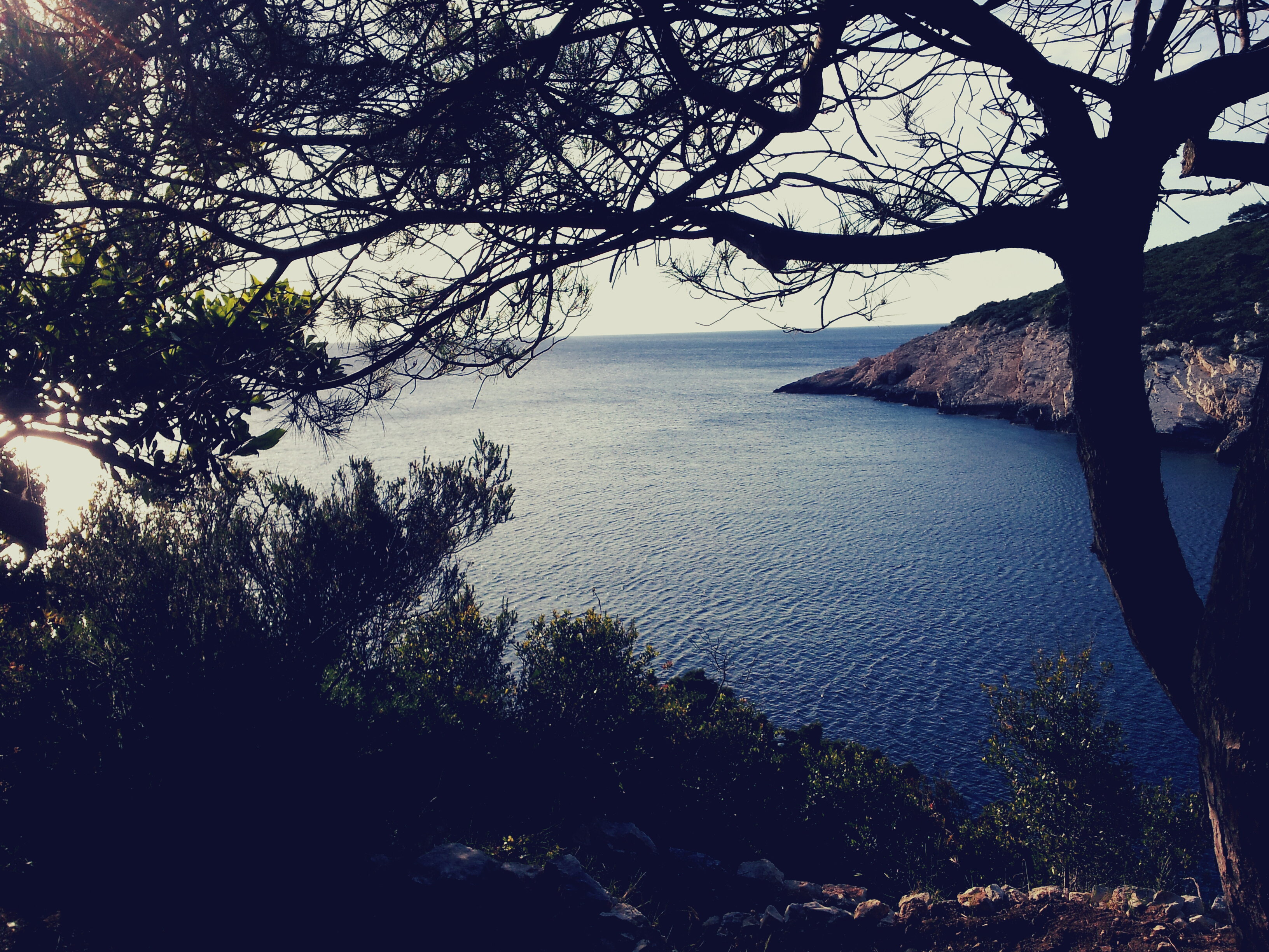 - image: 14