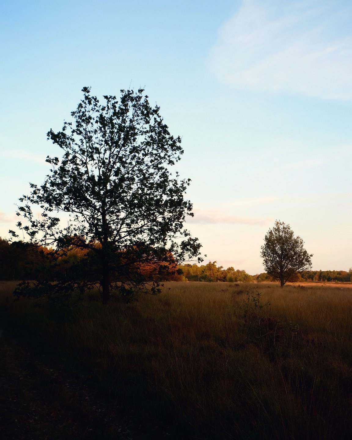 - image: 18
