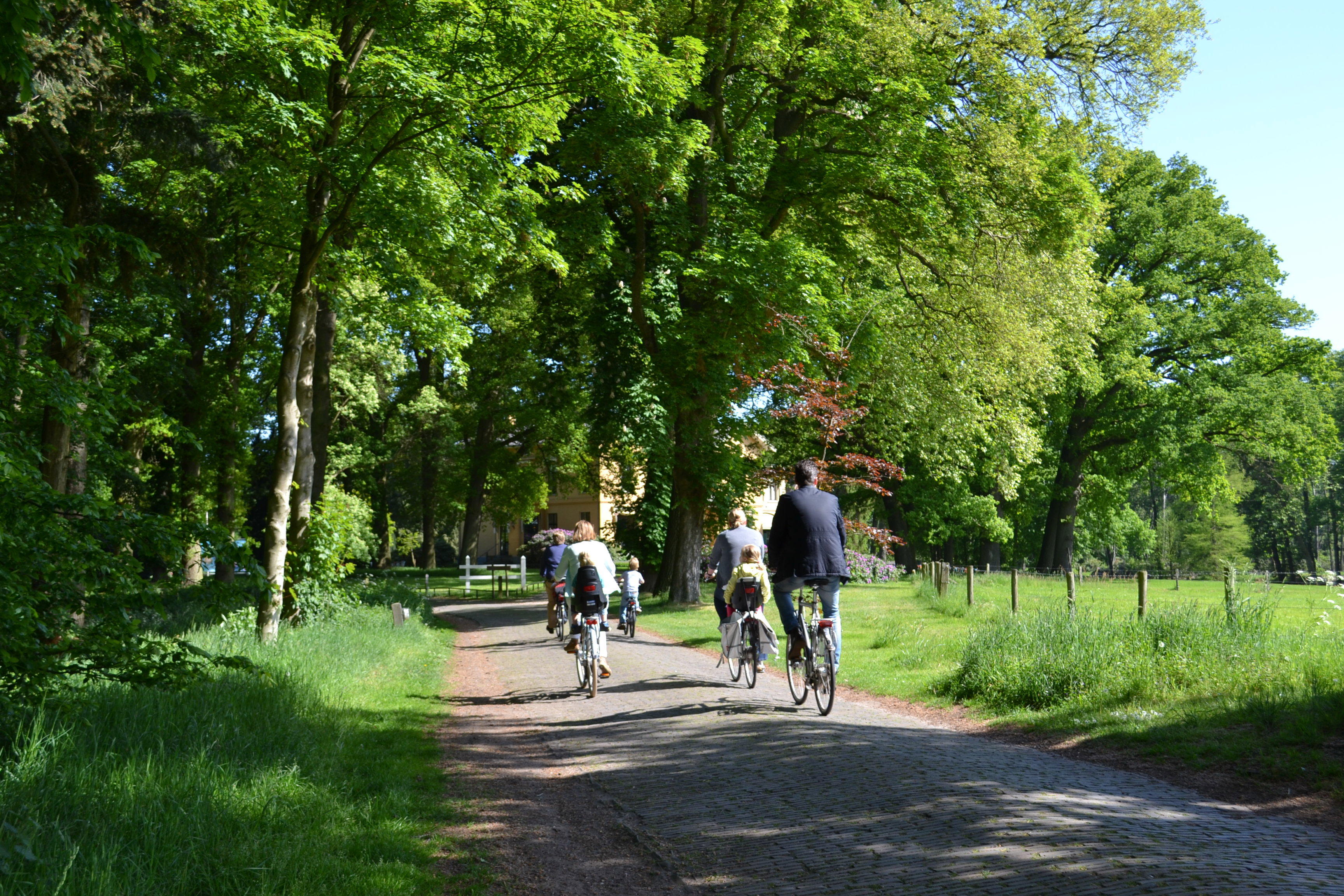 Naturhäuschen in Diepenveen