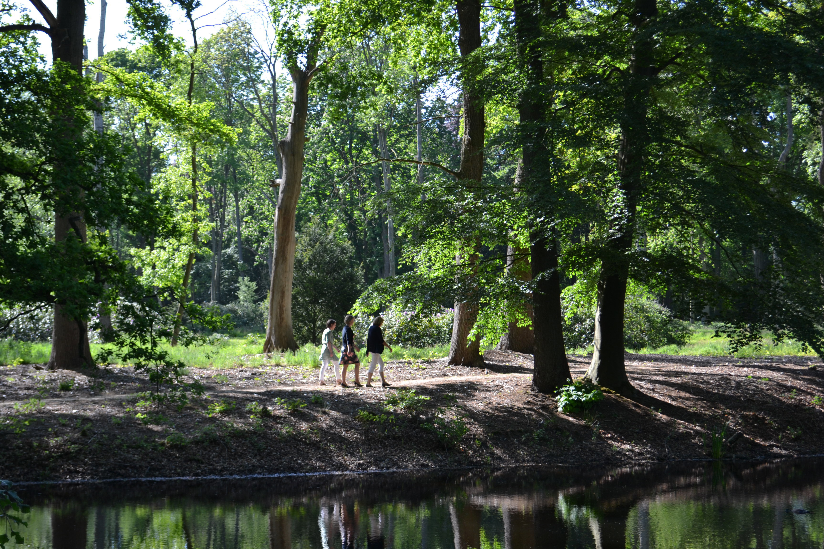 Naturhäuschen in Diepenveen