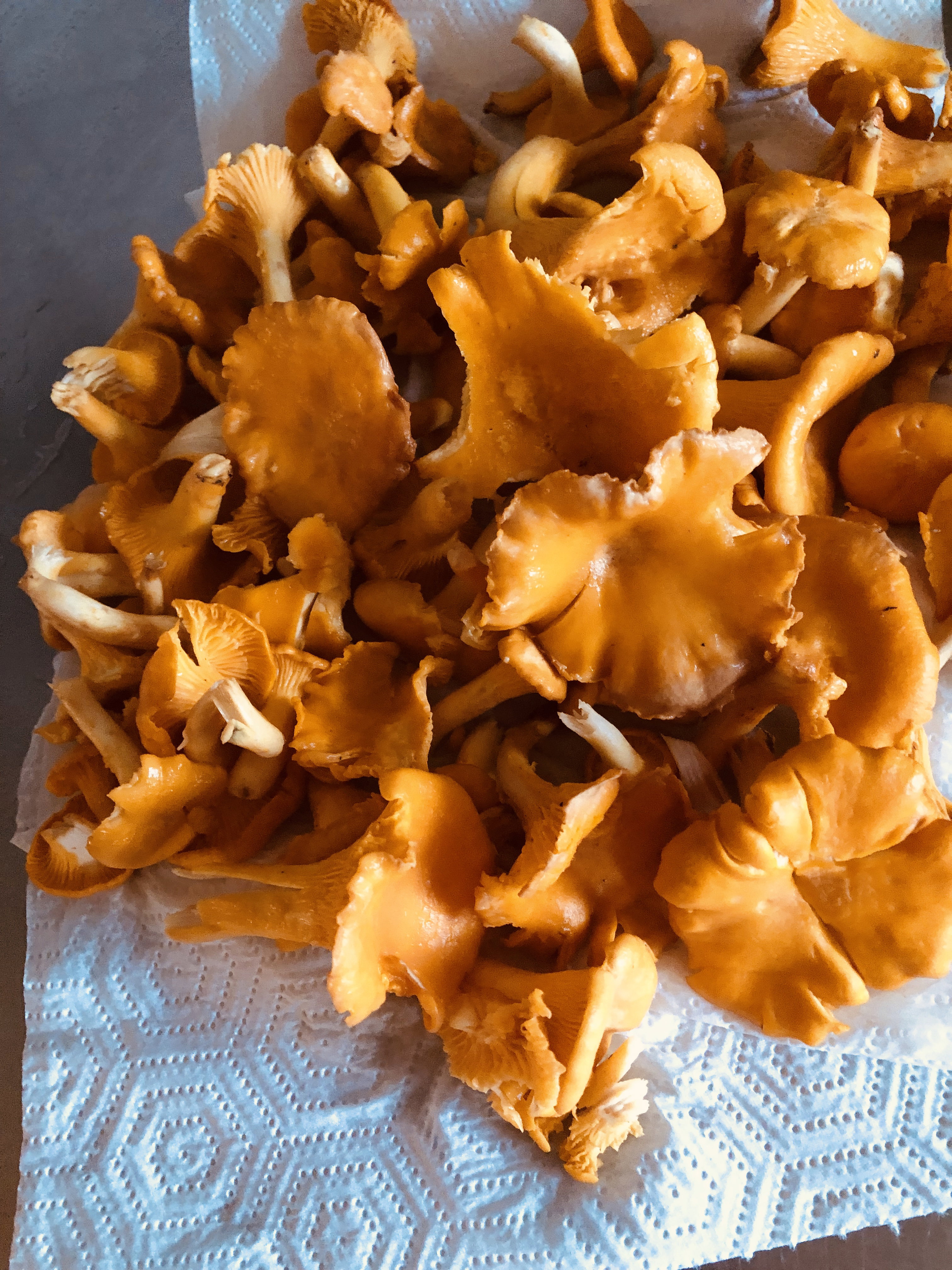 - image: 60