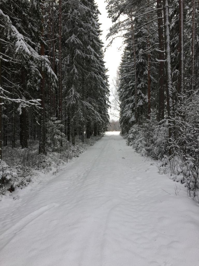 - image: 67