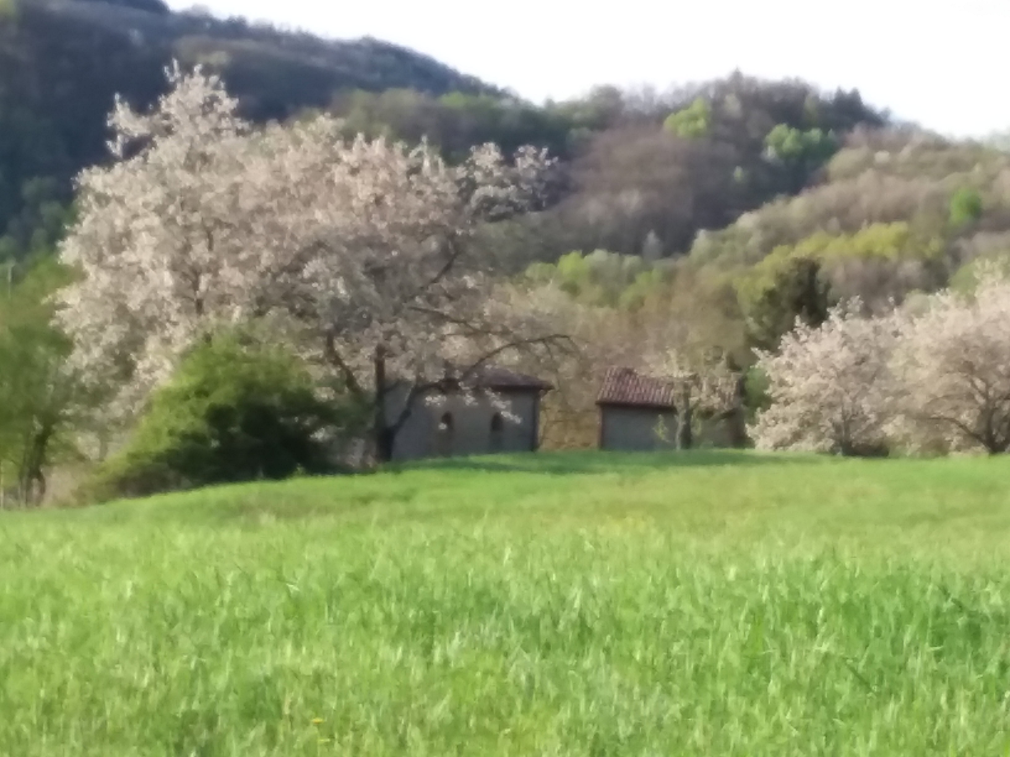 Maison nature à Piana dei castagni