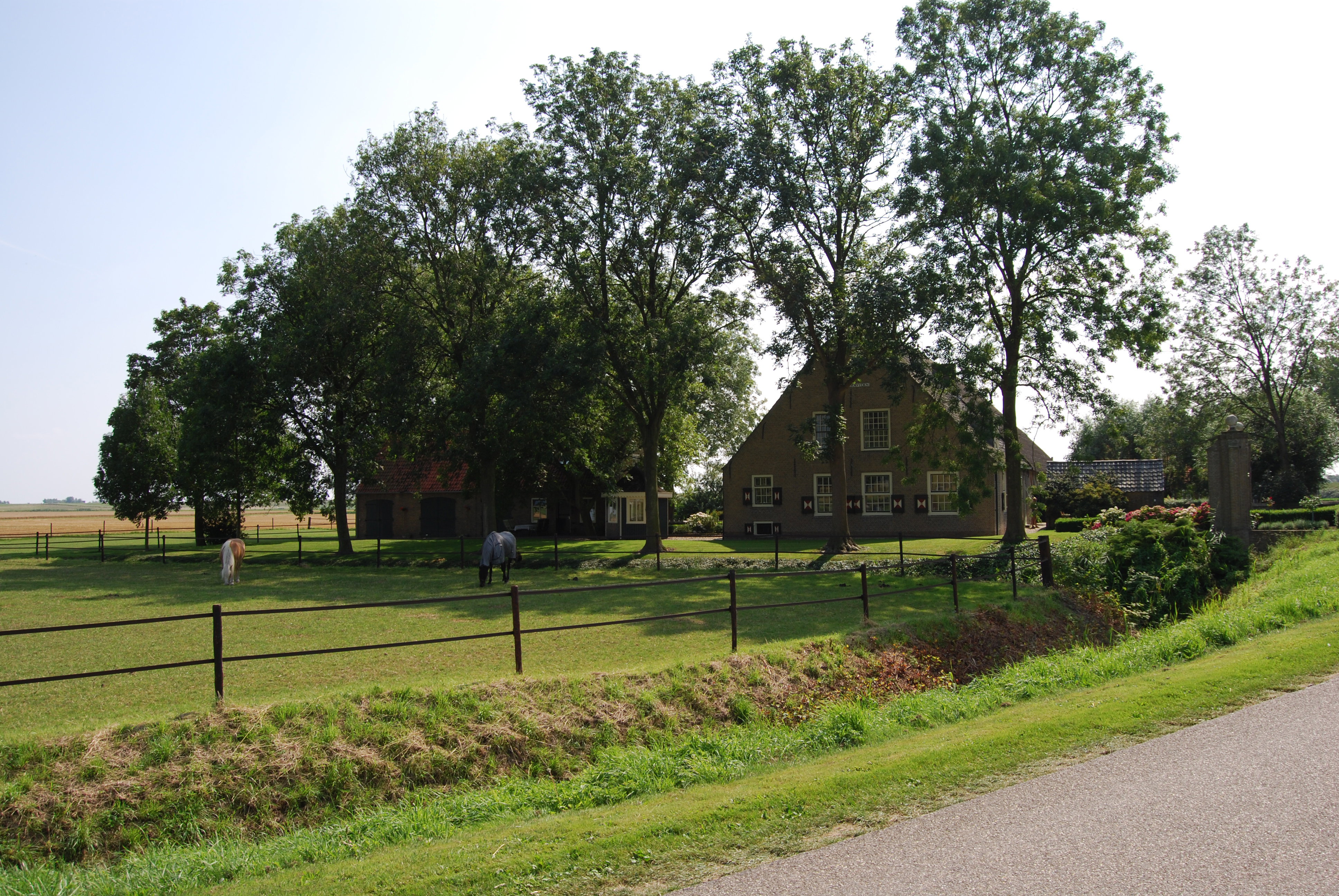 - image: 14