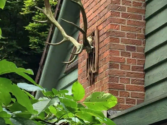 Maison nature à Epse