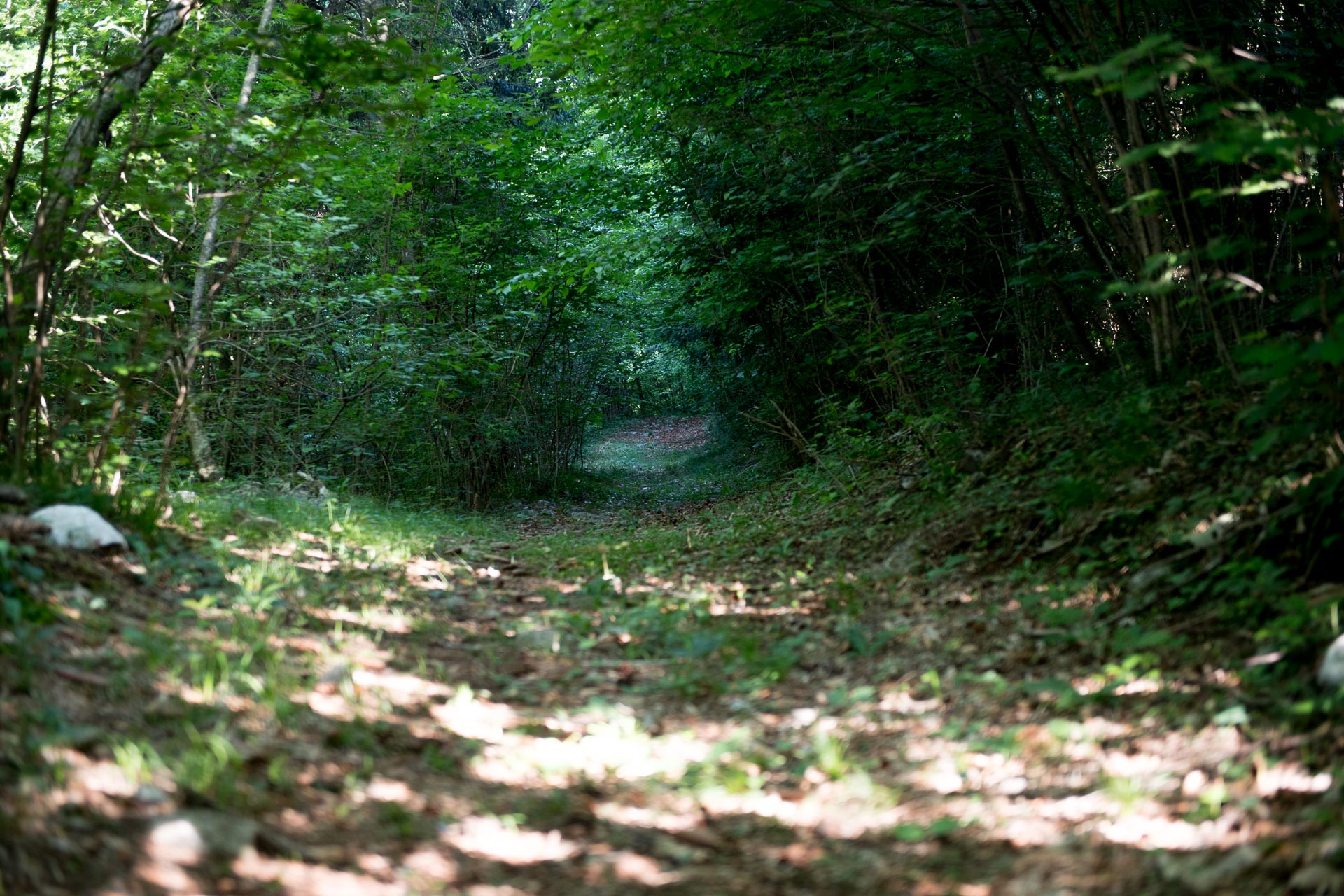 - image: 12