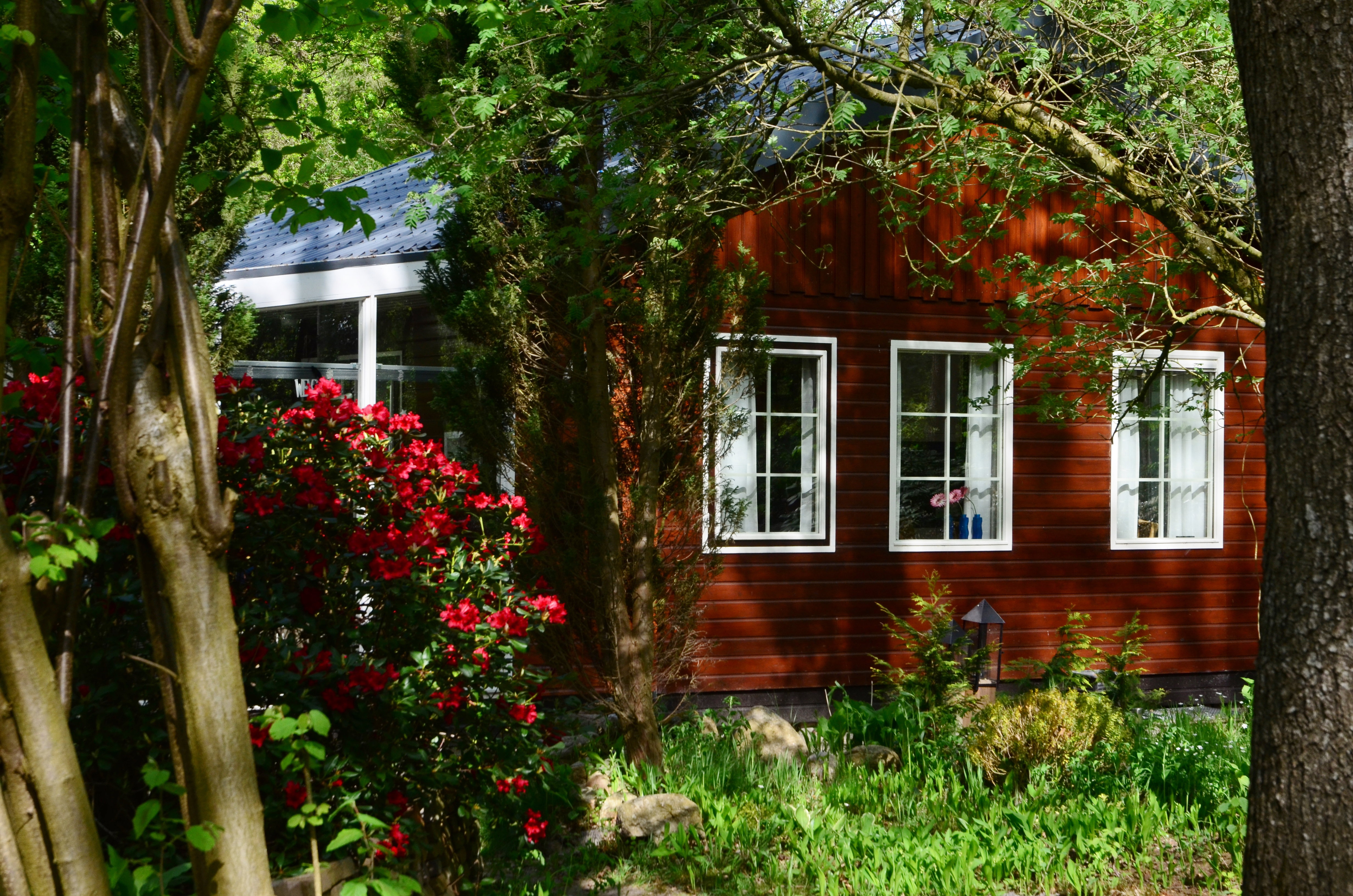 Maison nature à Norg