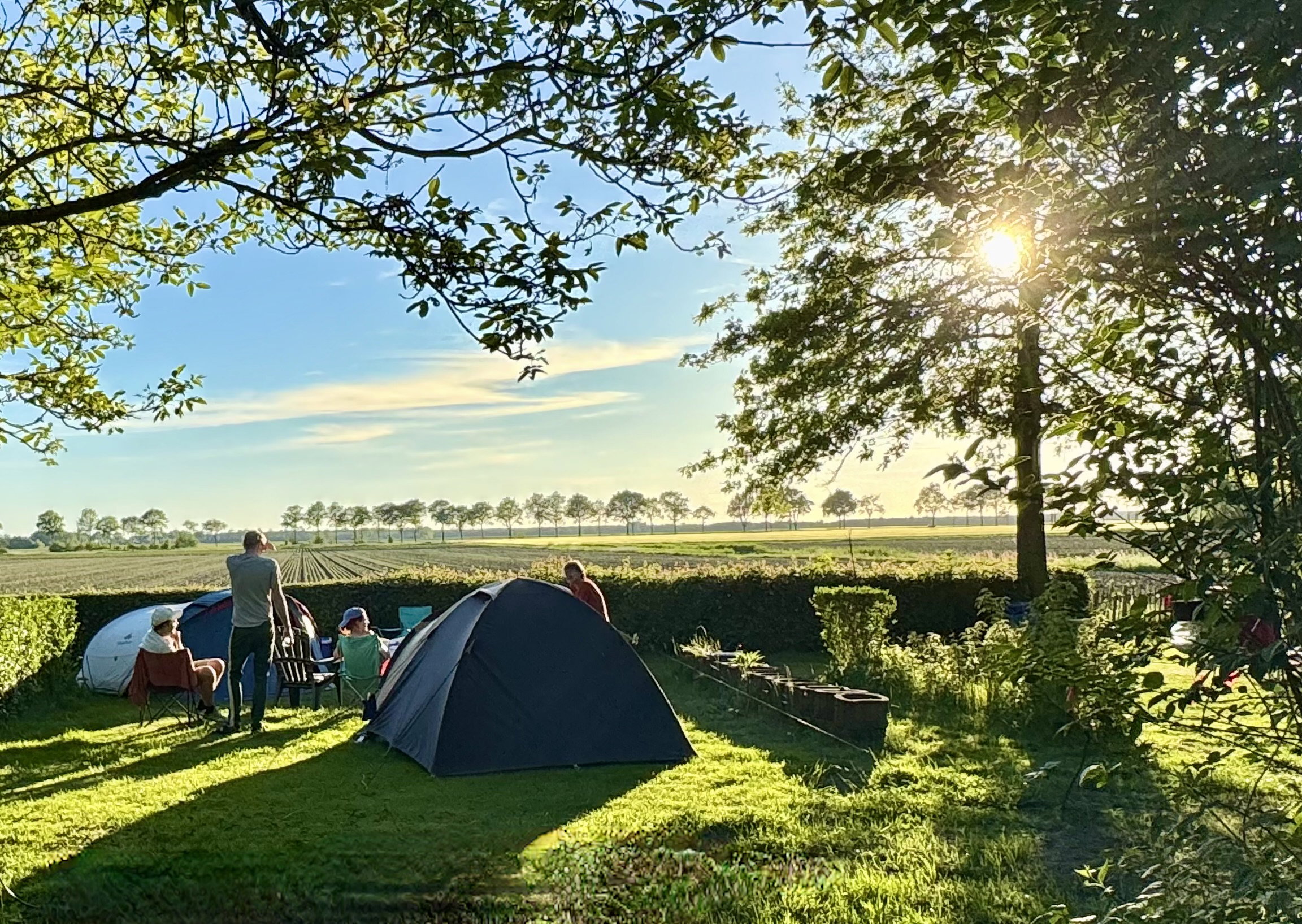 Natuurhuisje in Wedde