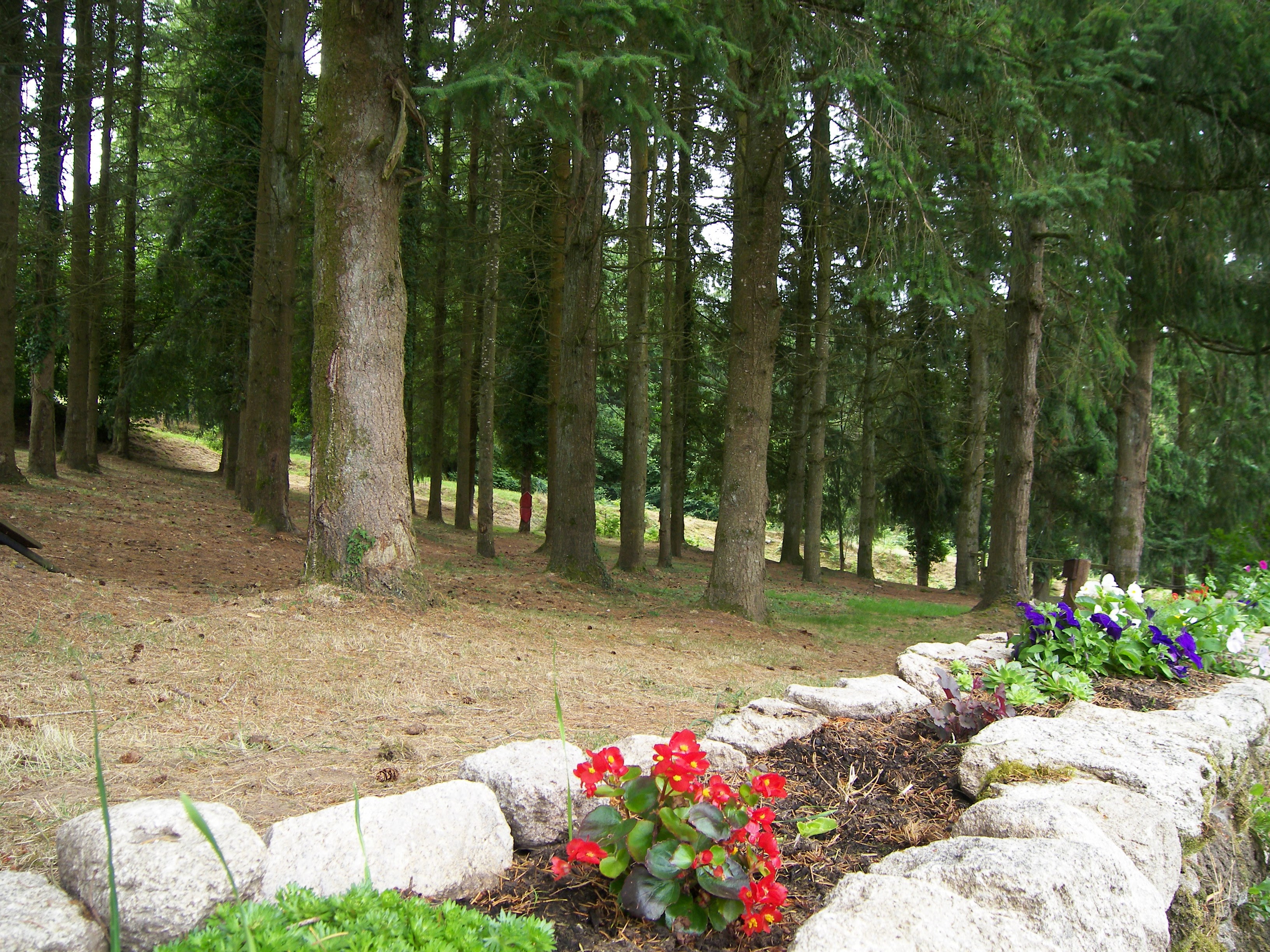 - image: 14