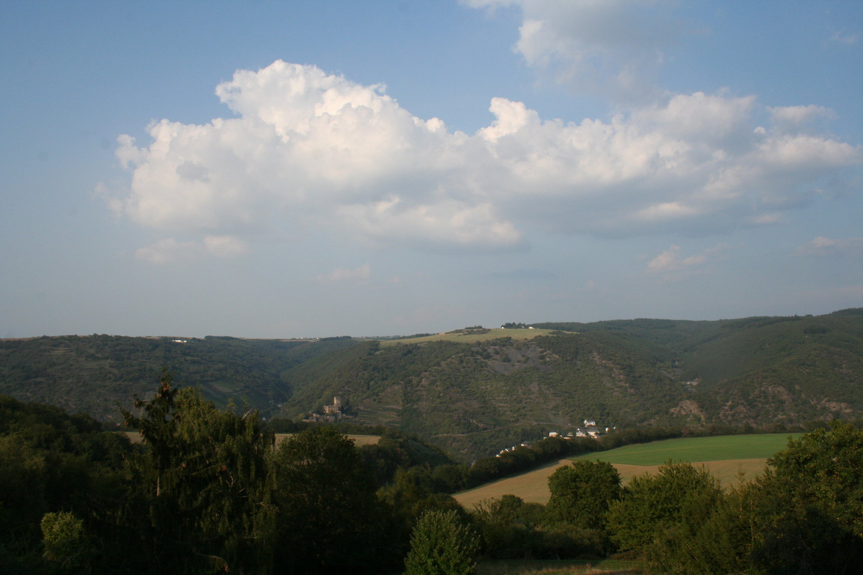 Maison nature à Bacharach-Henschhausen