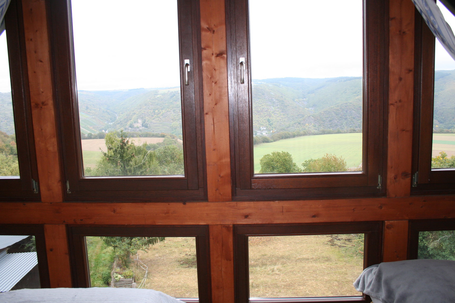 - image: 12