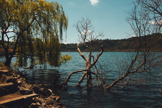 - image: 13