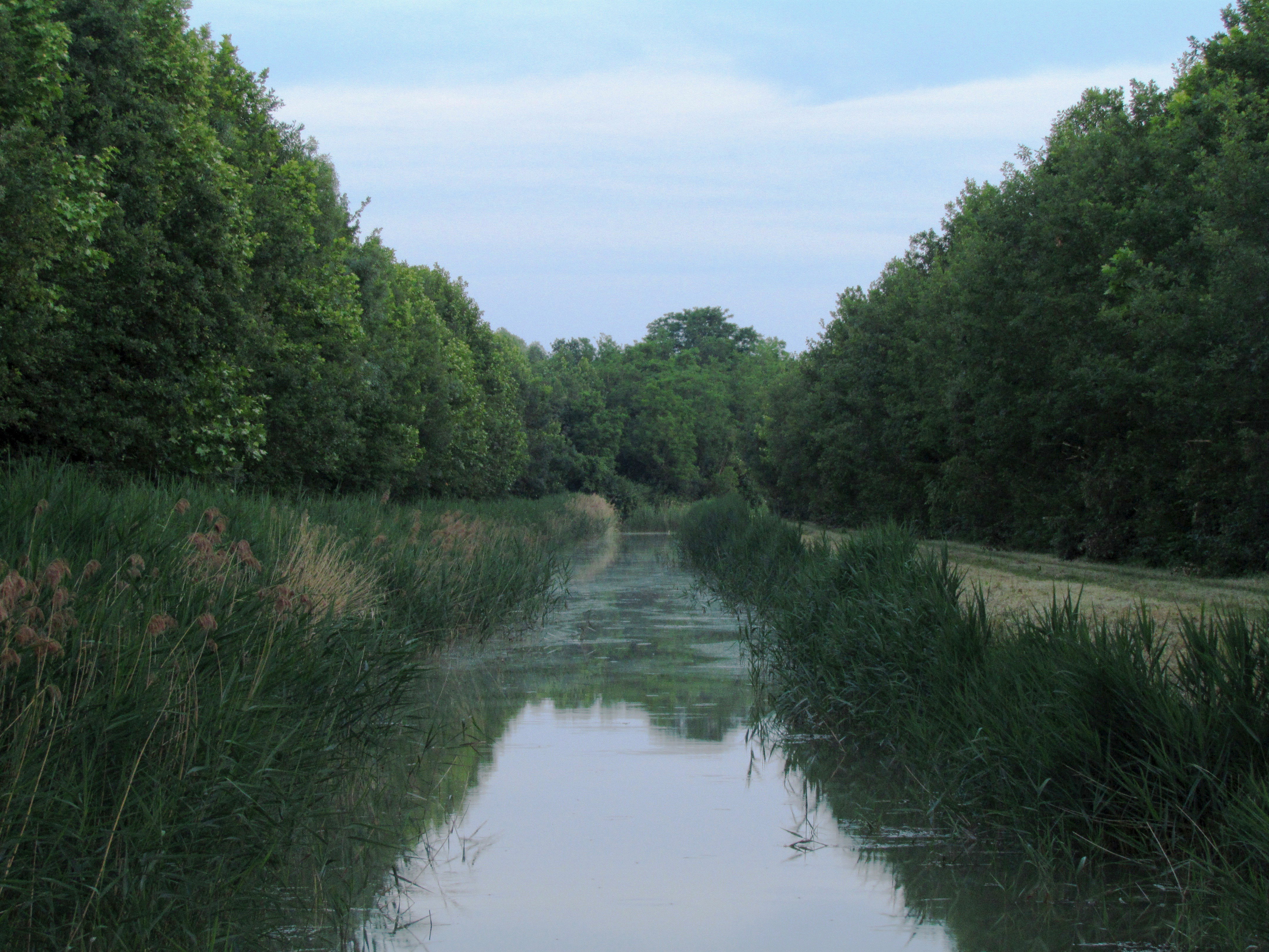 - image: 15