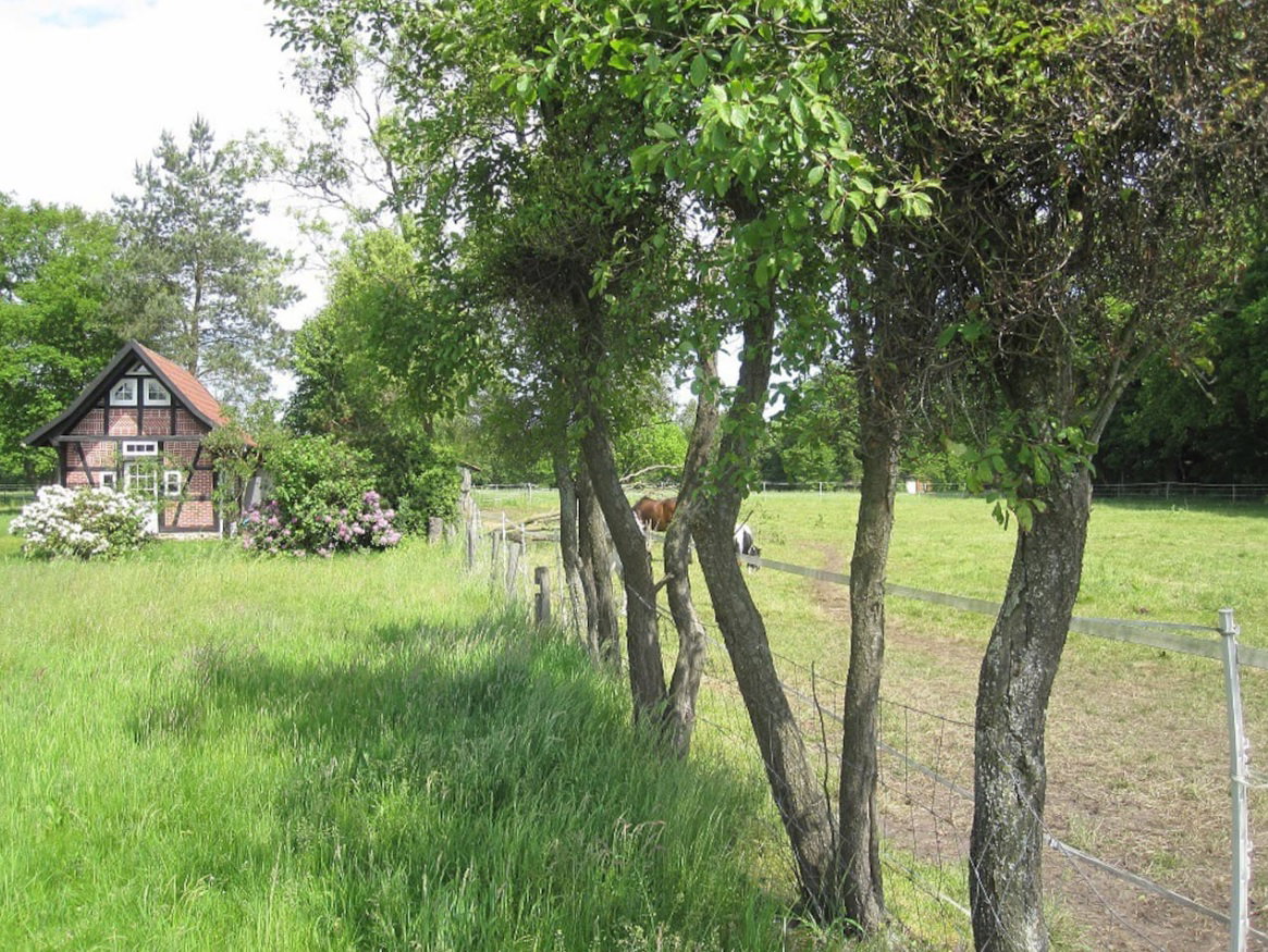 Naturhäuschen in Wehrbleck