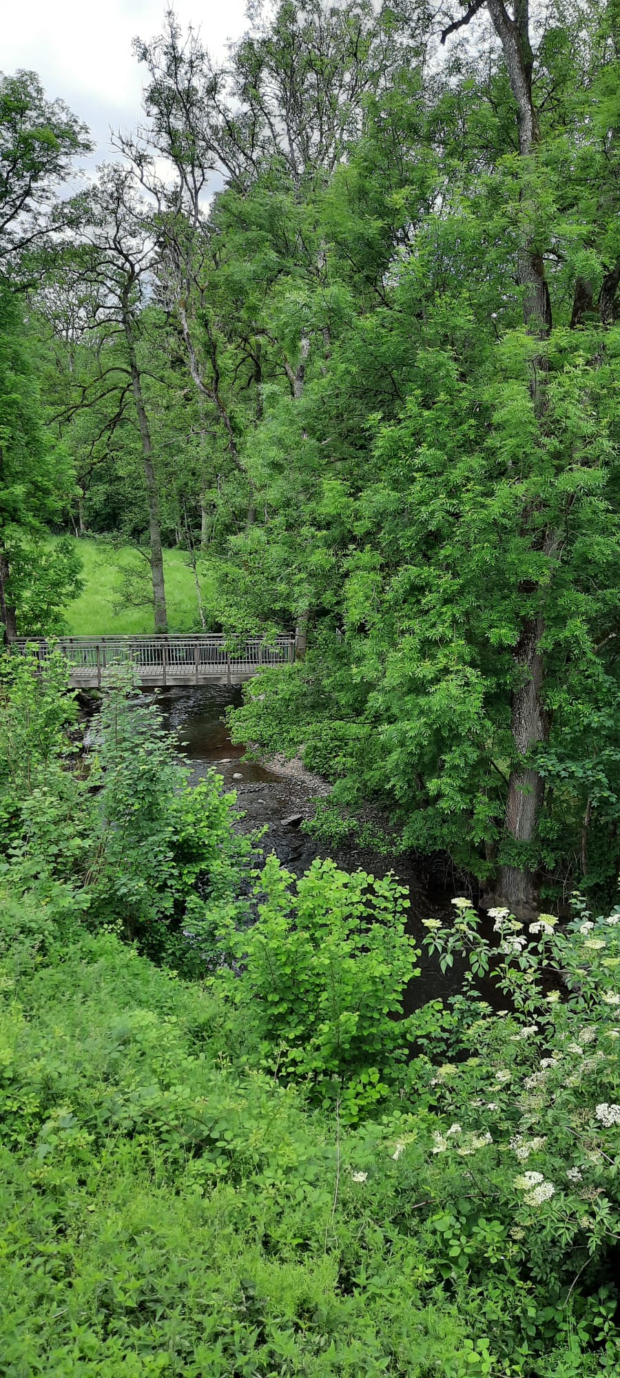 Naturhäuschen in Stoumont