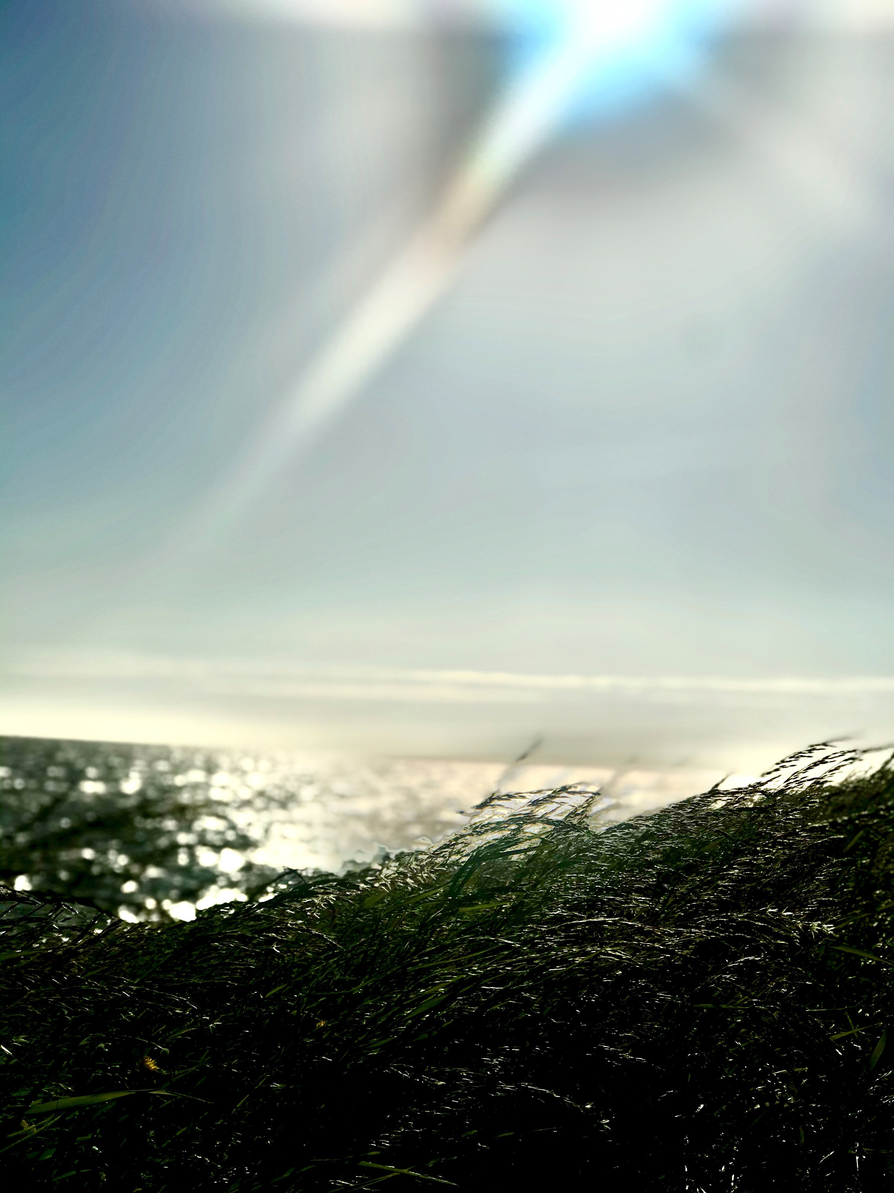 - image: 25