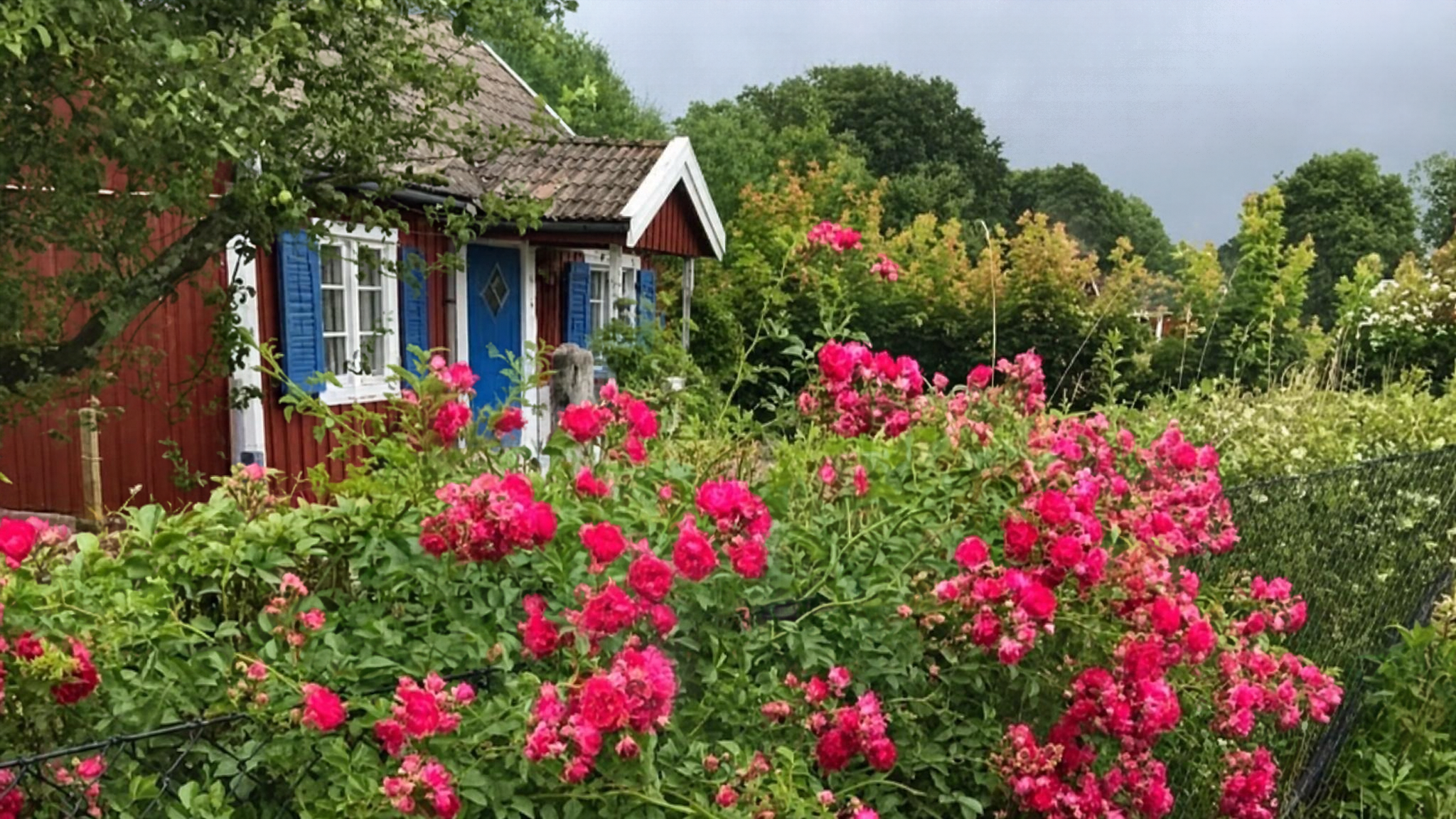 Maison nature à Hässleholm