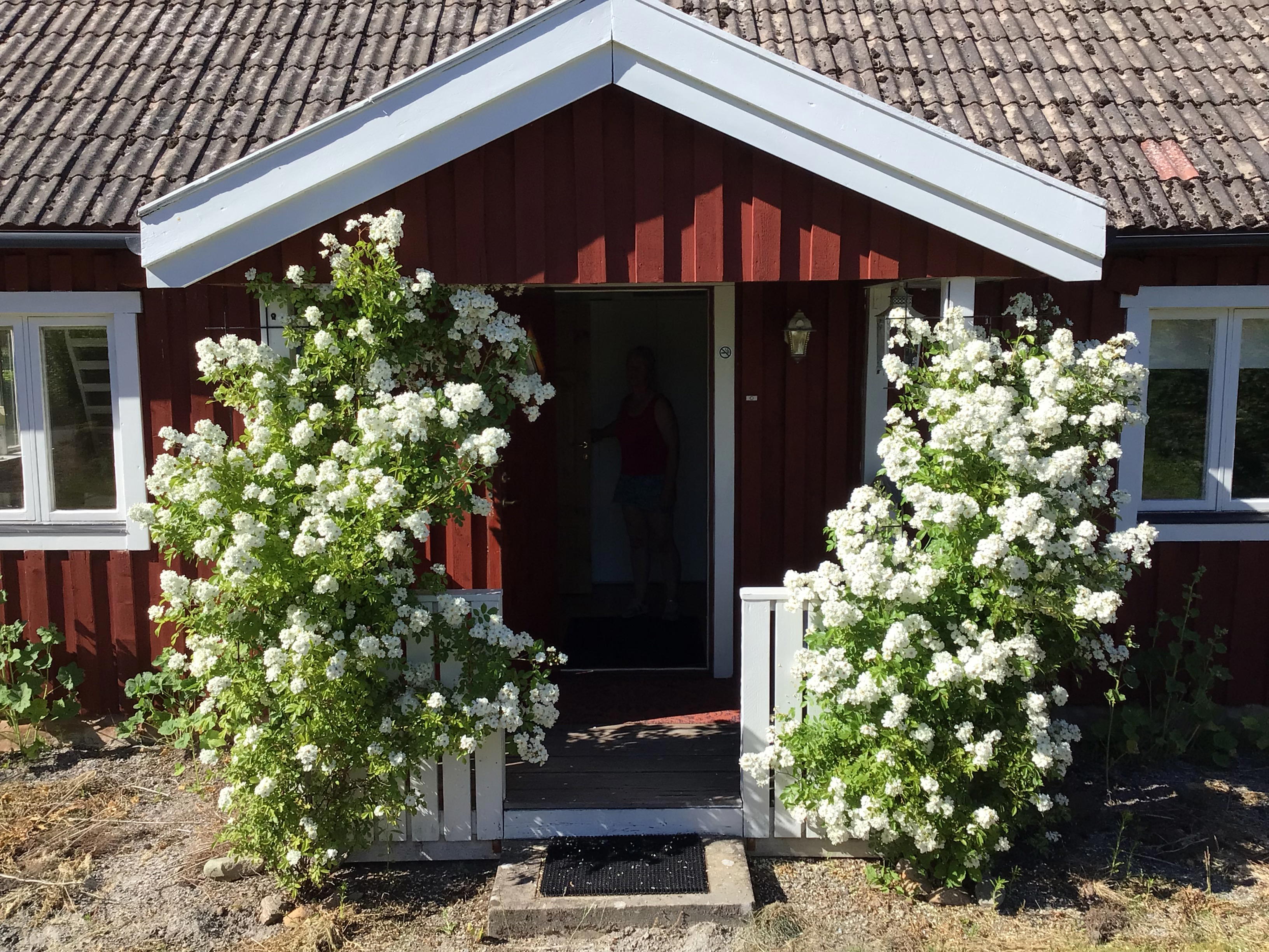 Nature house in Hässleholm
