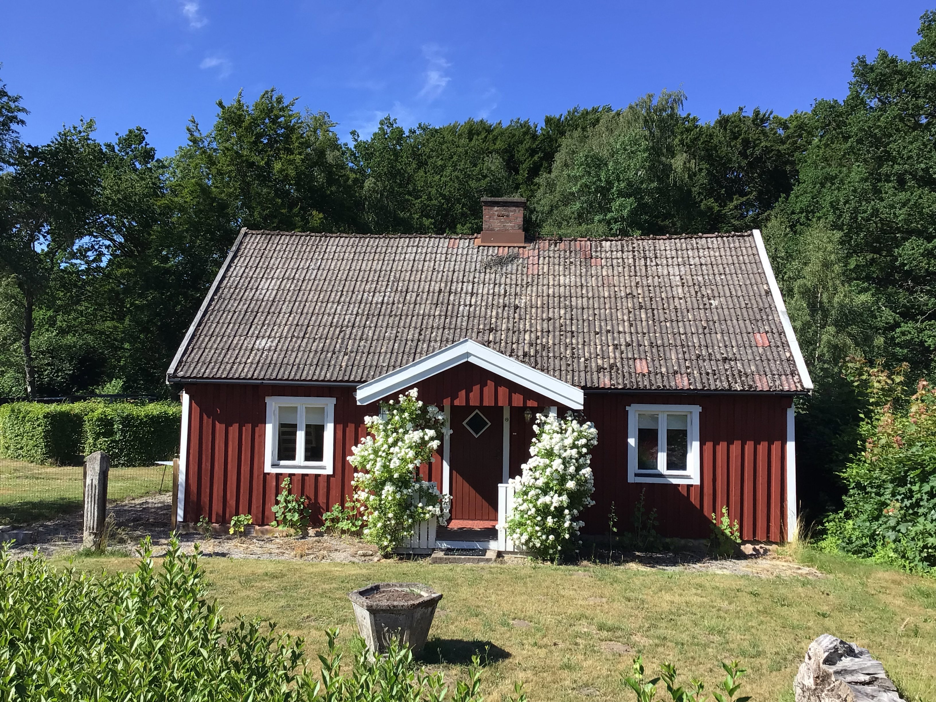 - image: 26