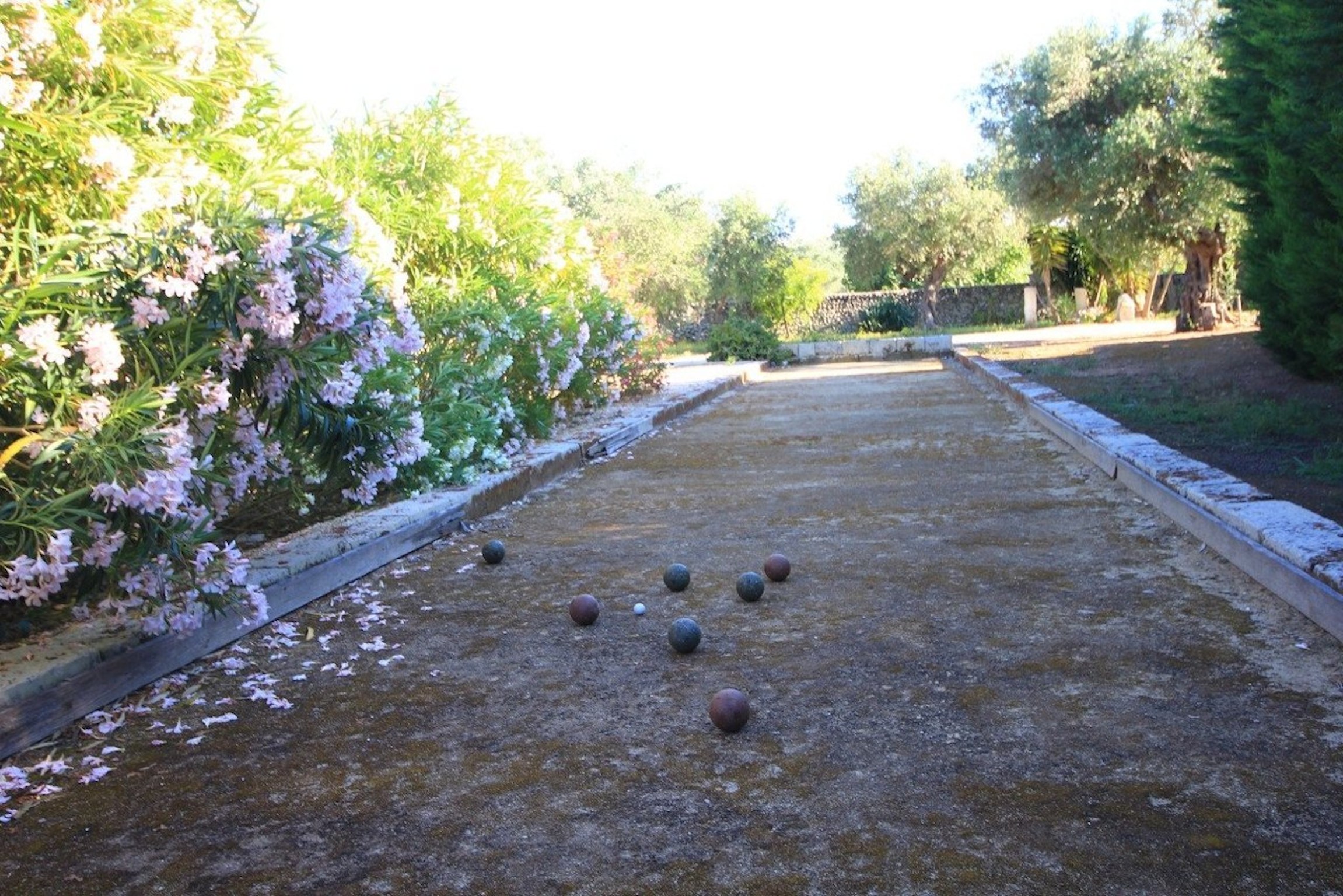 - image: 25