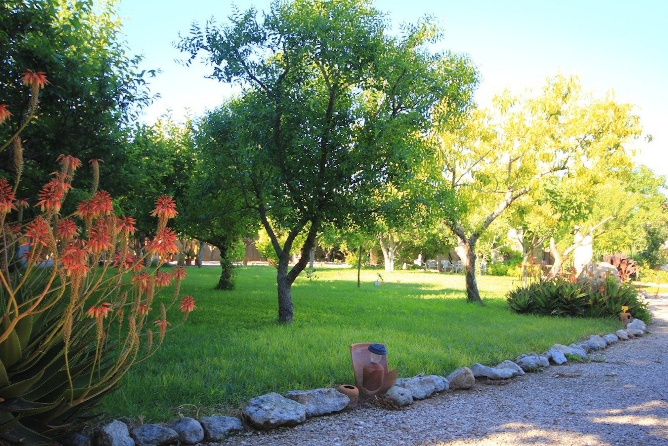 - image: 26