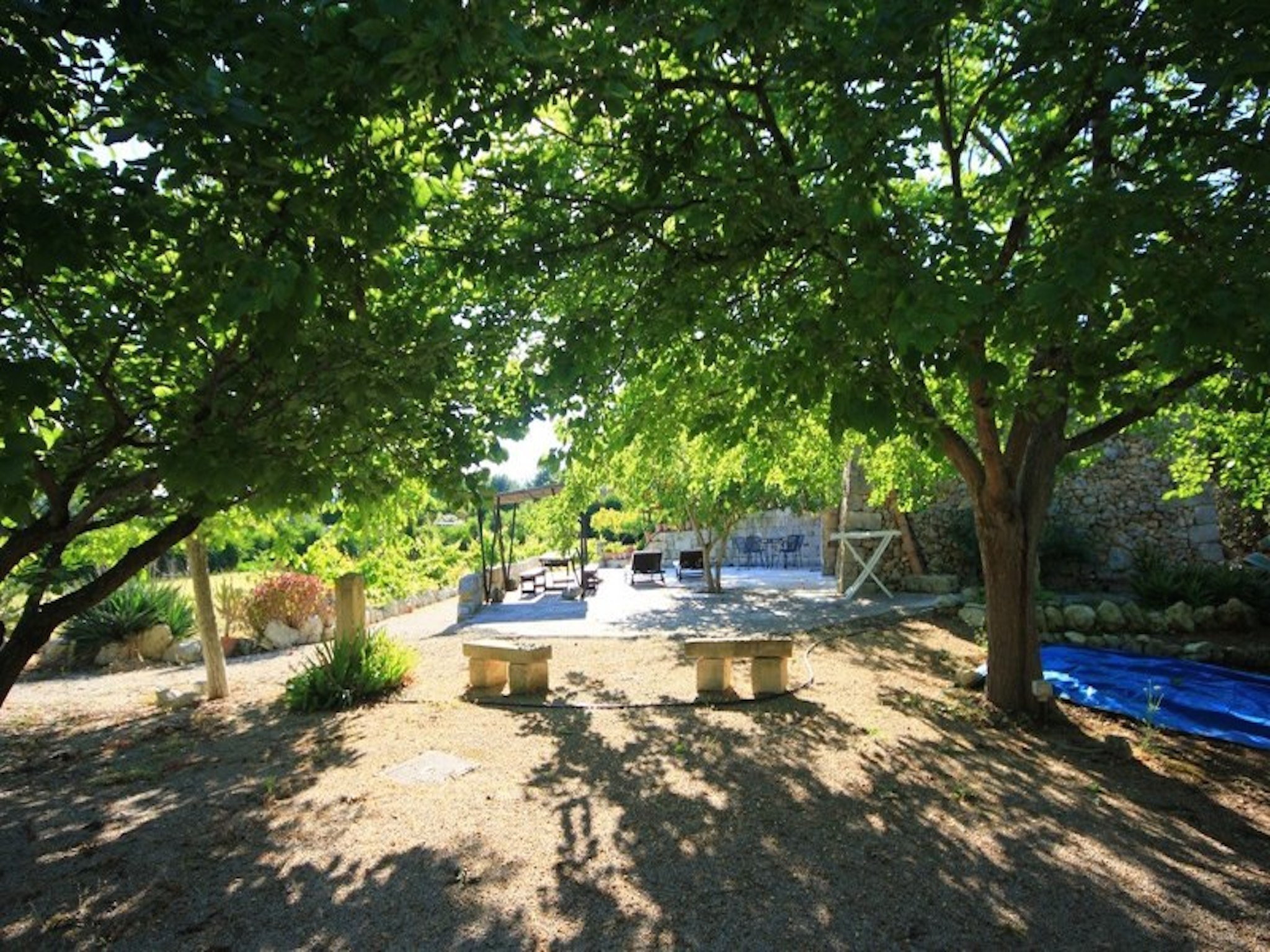 - image: 43